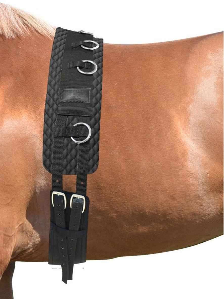 EQuest Longiergurt Classic