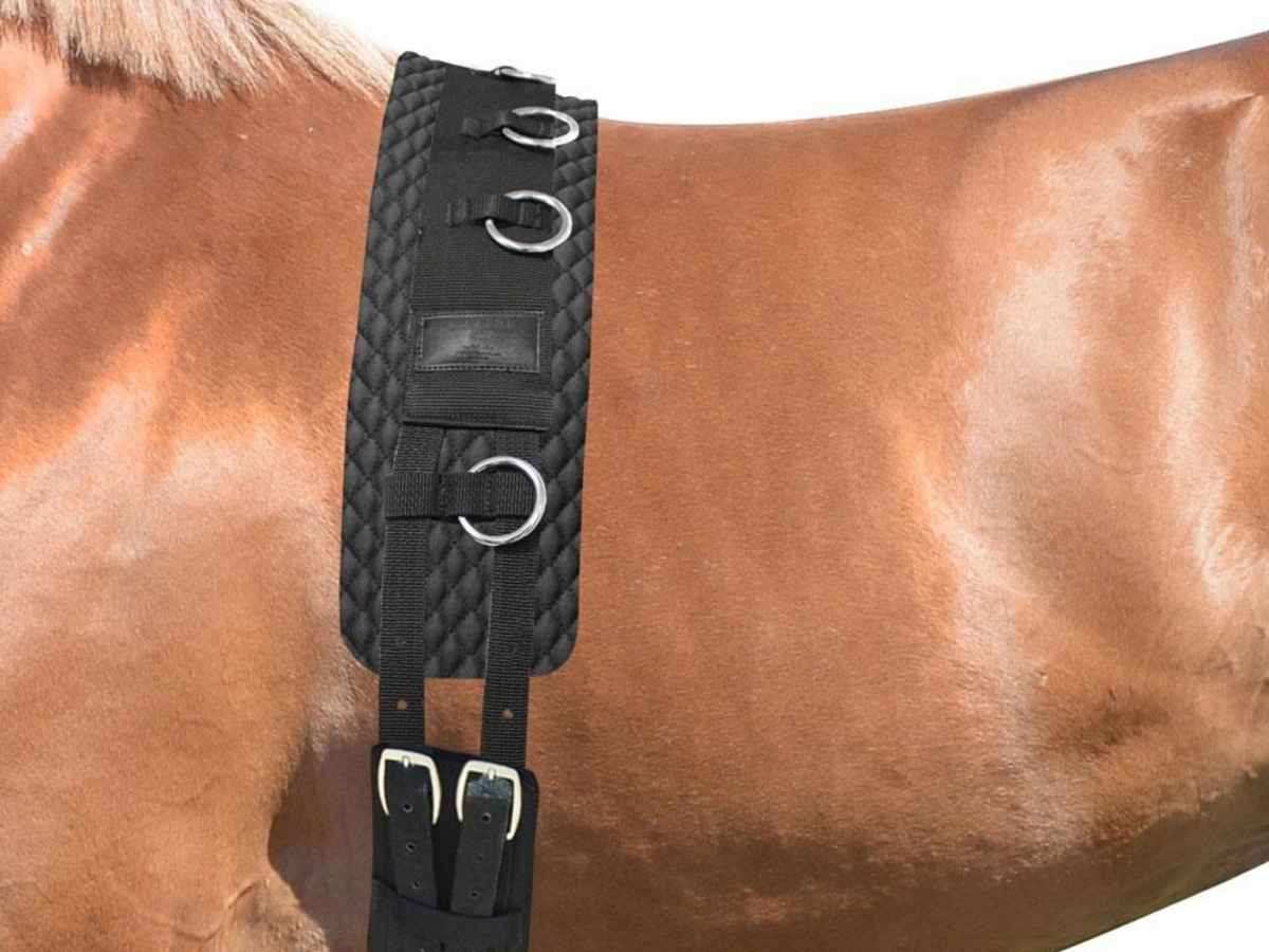 EQuest Longiergurt Classic