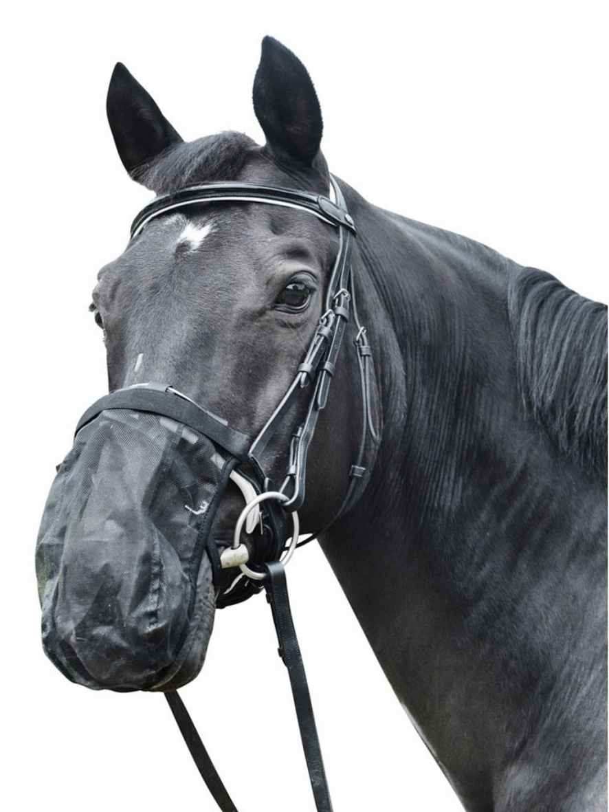 EQuest Fliegenschutz Headshaking