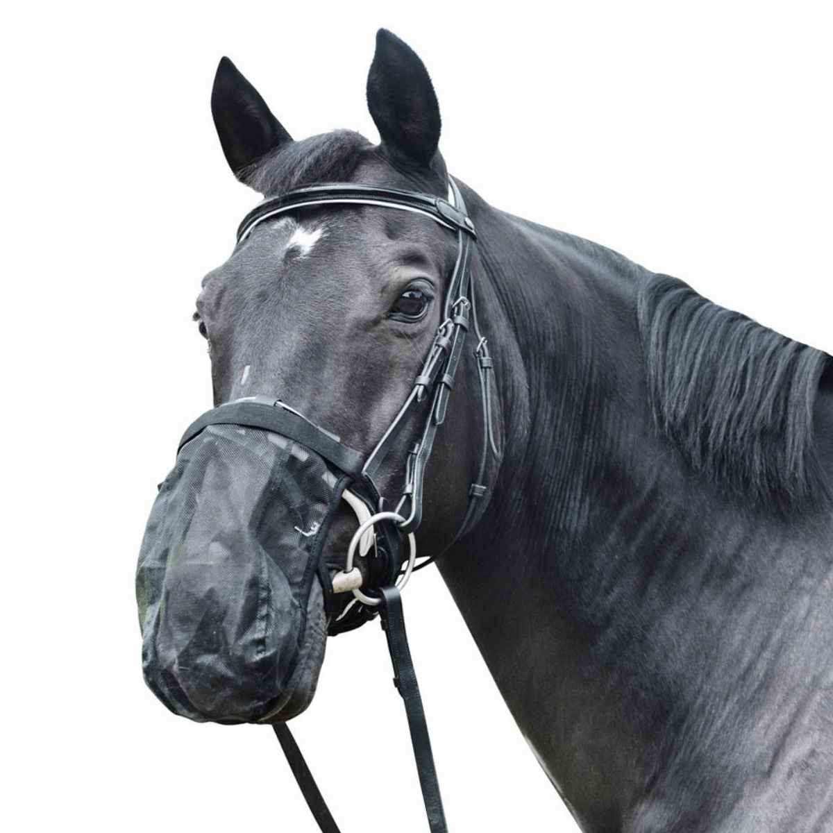 EQuest Fliegenschutz Headshaking