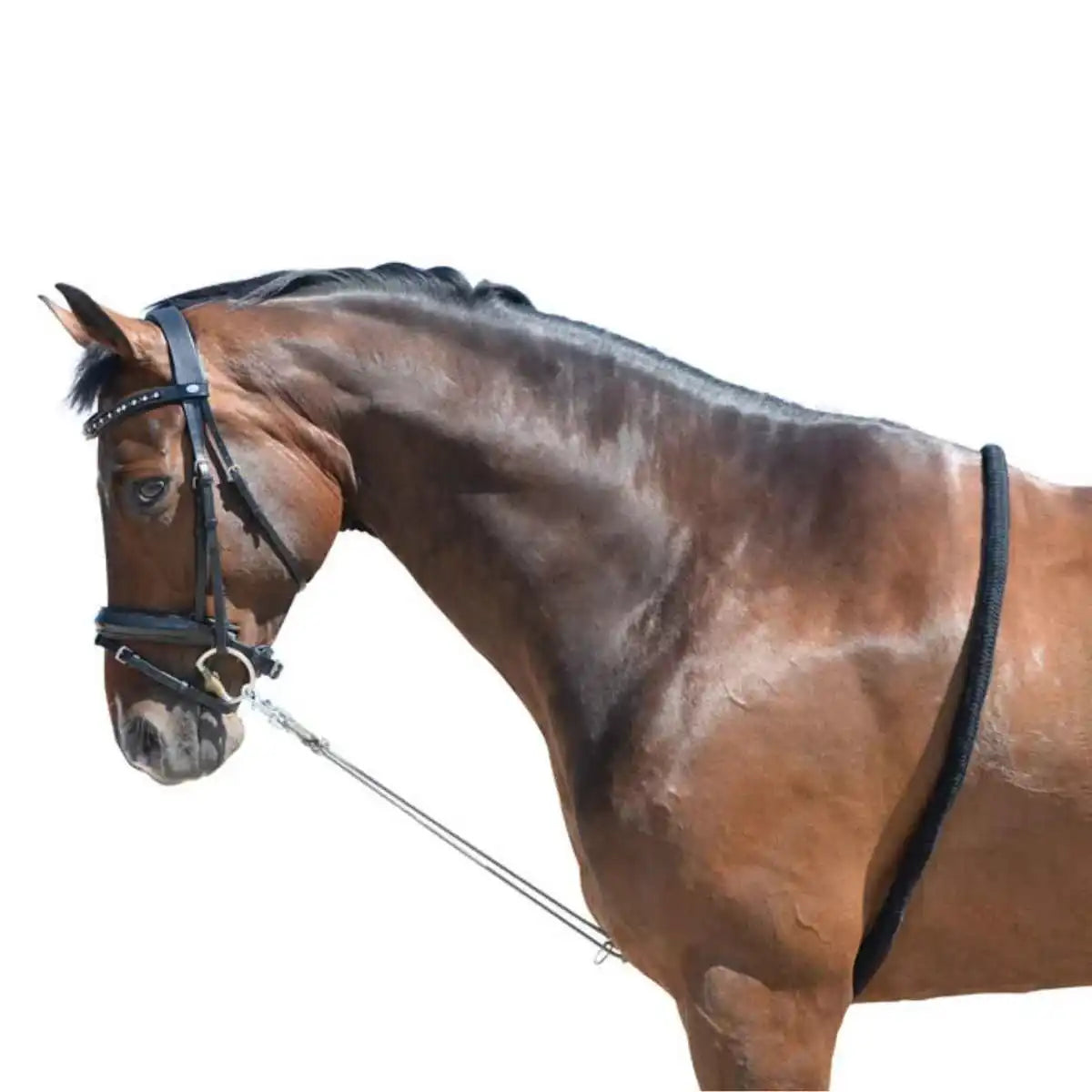 EQuest Softtouch Longierhilfe 2 Ringe