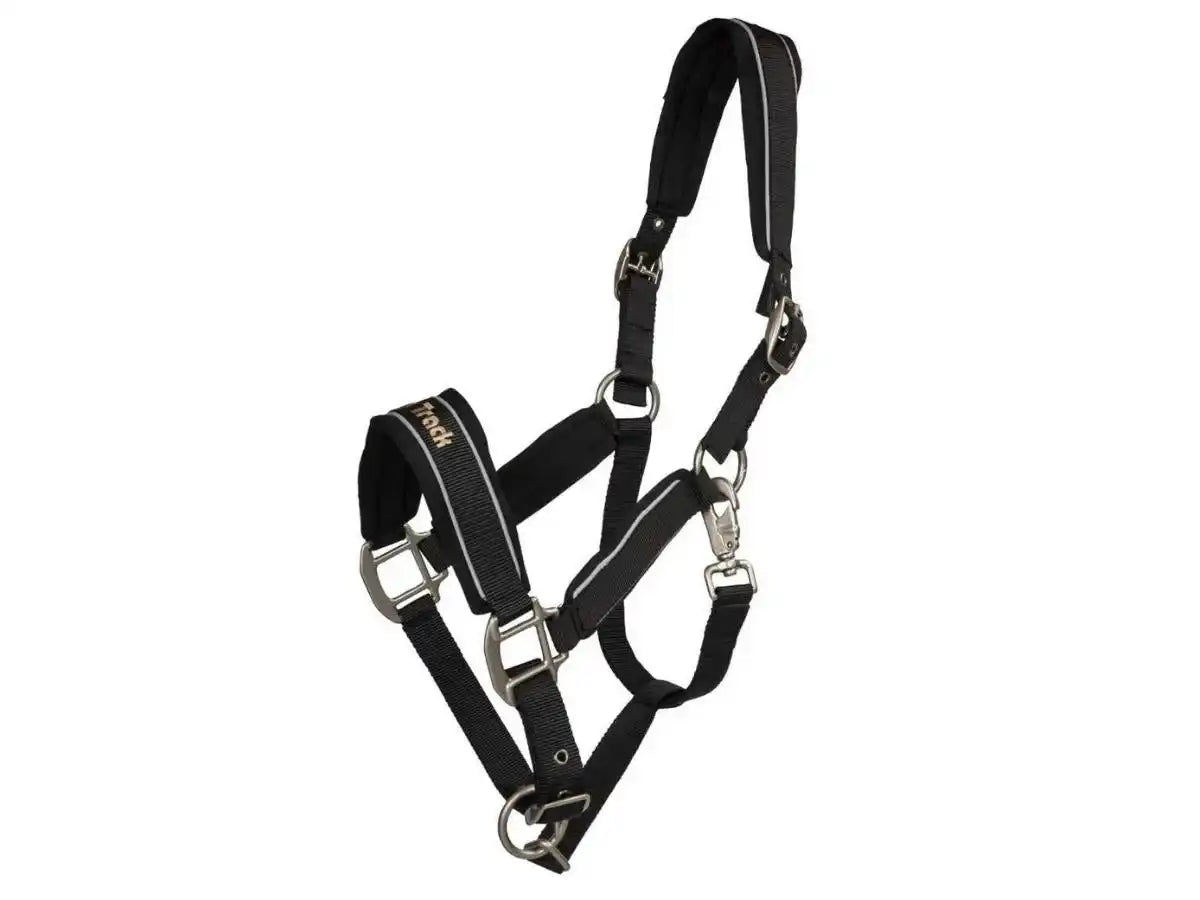 BACK ON TRACK Halfter Werano mit Reflektorstreifen