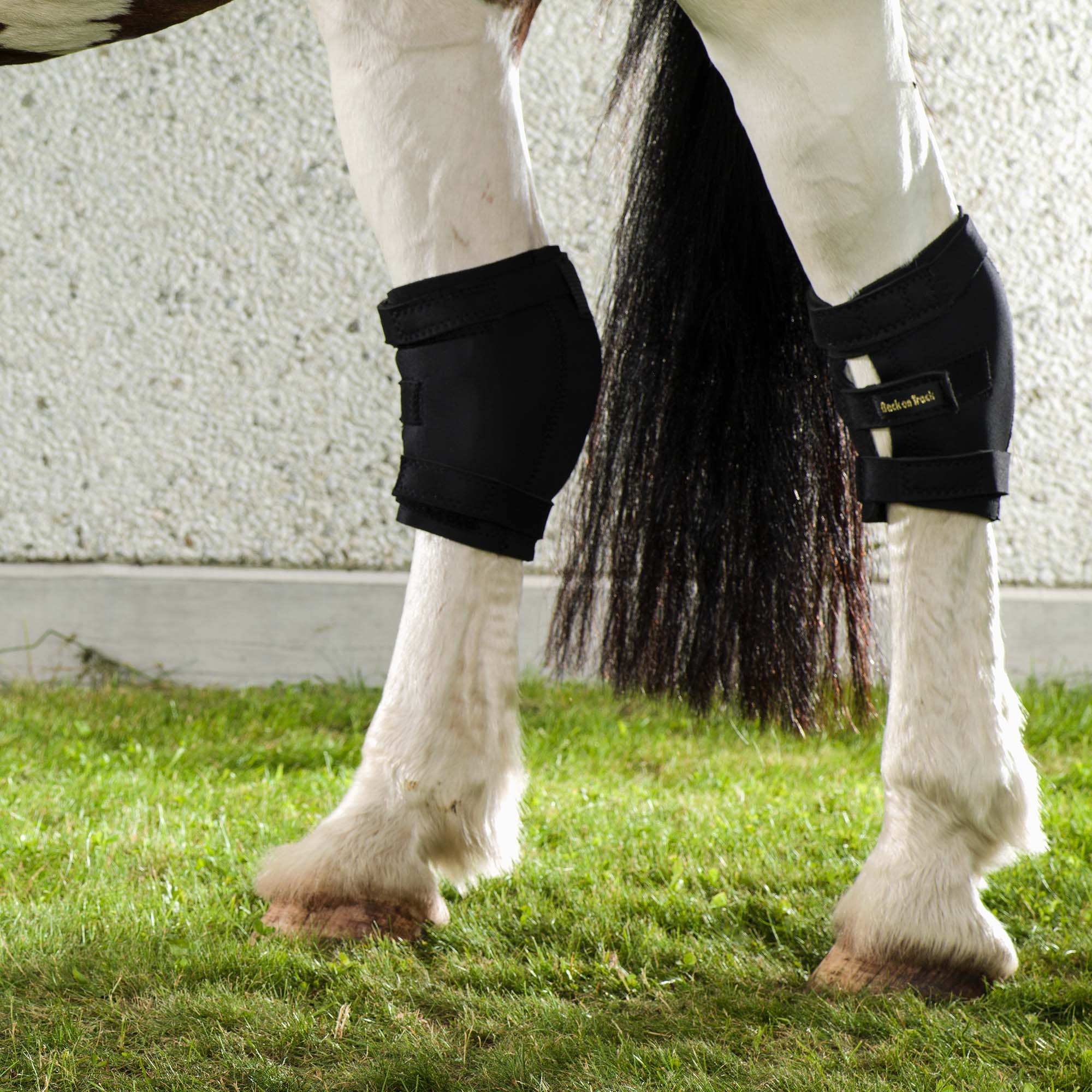 Sprunggelenkschoner Links