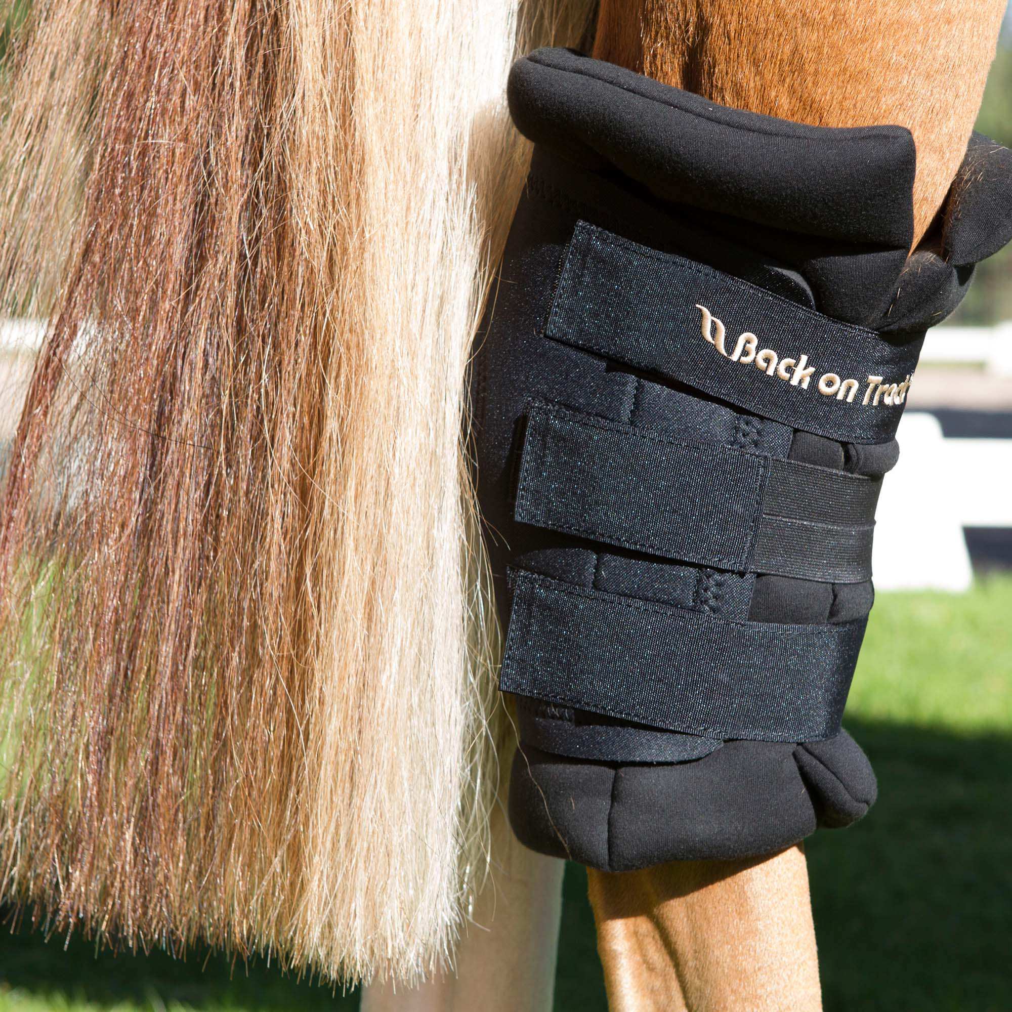 Royal Sprunggelenkschoner (Paar)