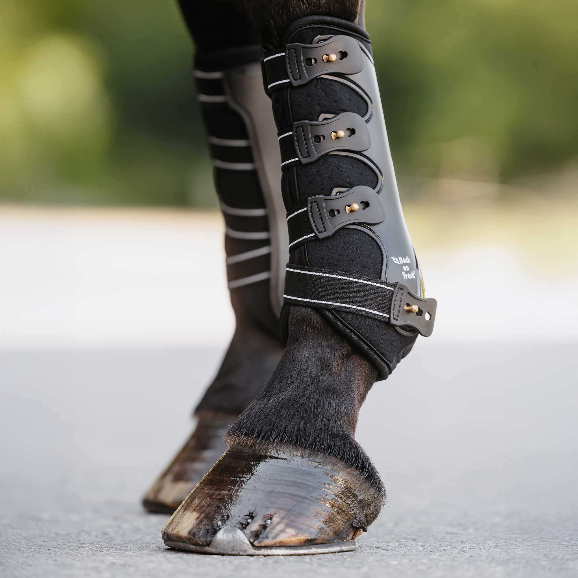 Royal Arbeitsgamaschen Vorderbein