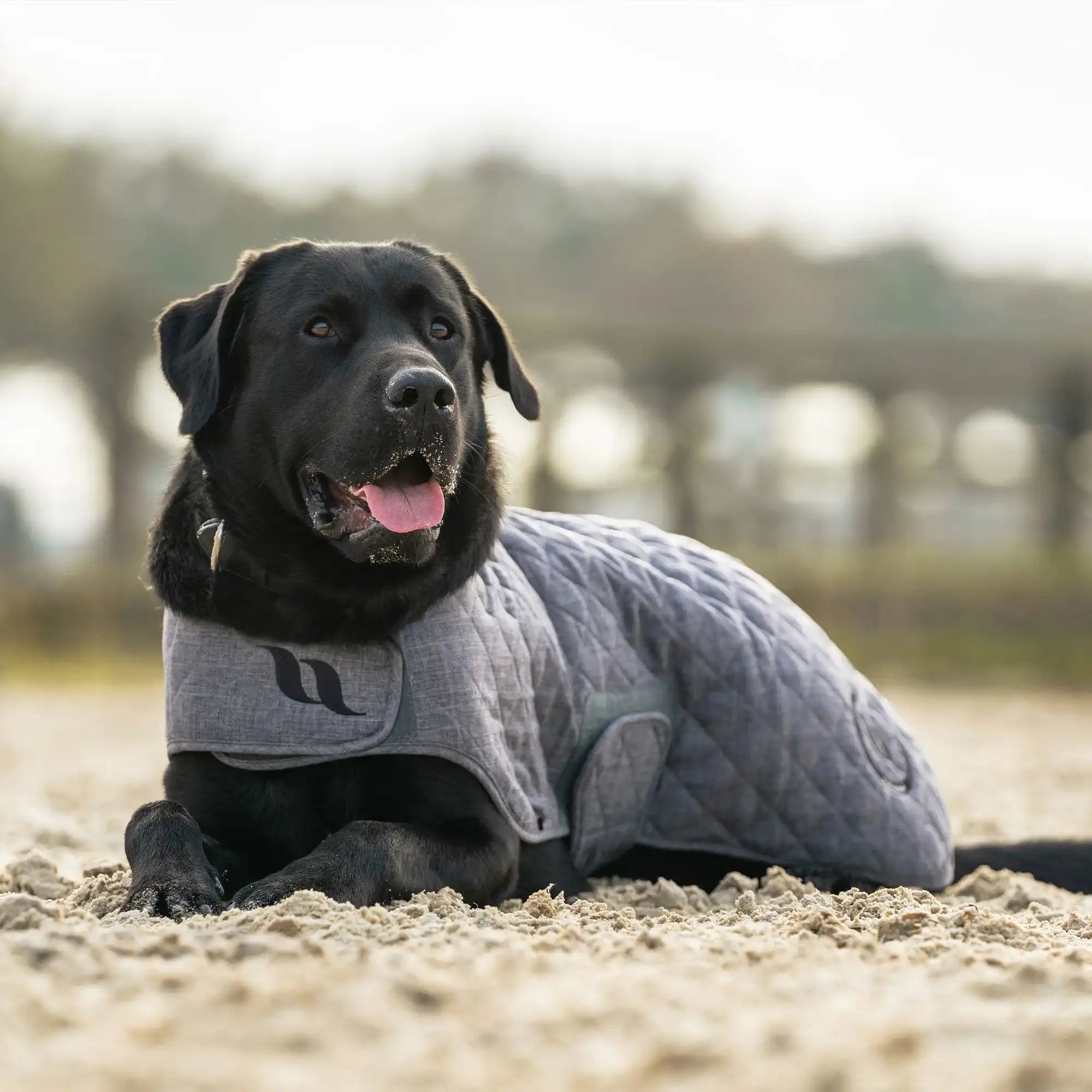 Back on Track Haze Collection