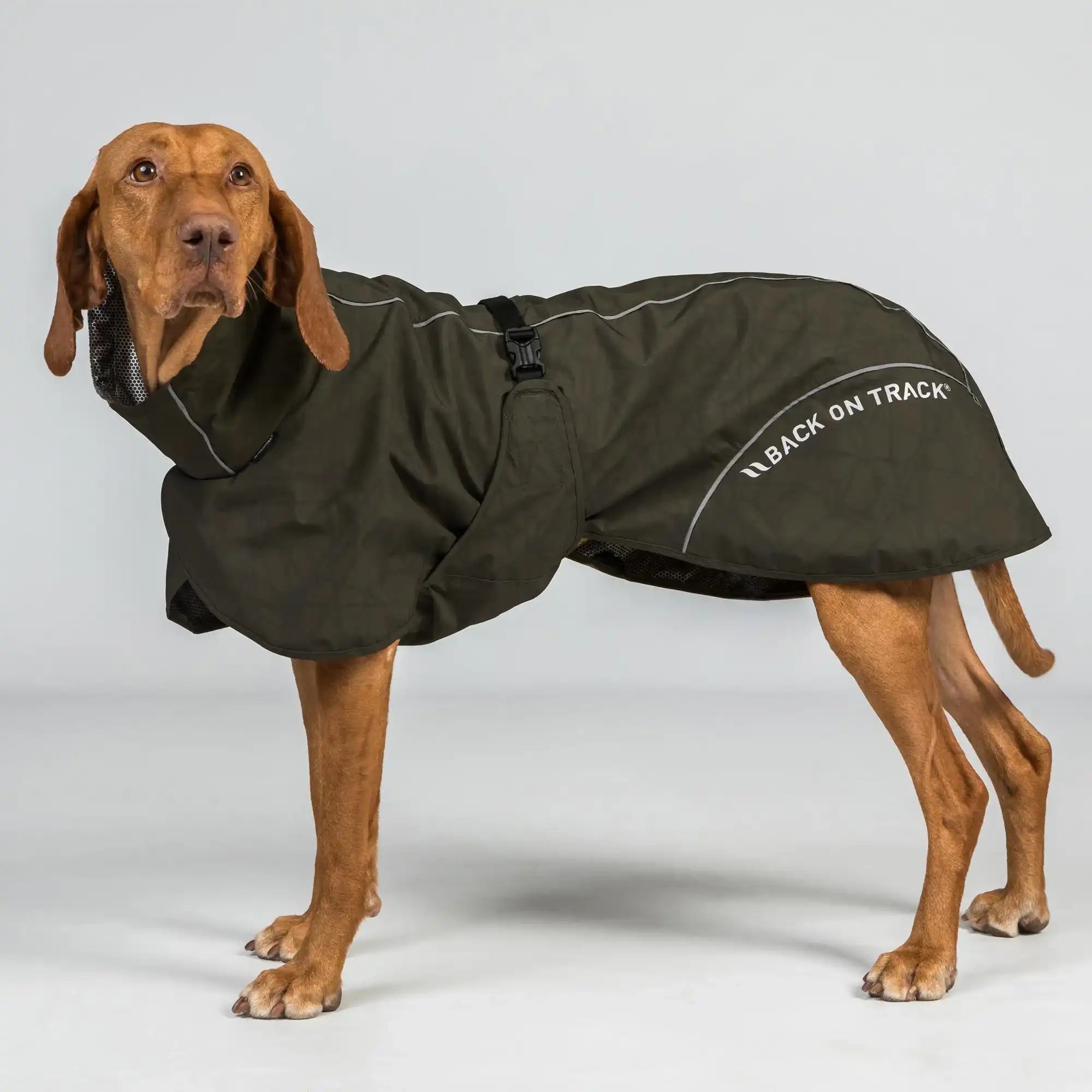 Back on Track BAY Hunde-Regenmantel, Niedriger Rutenansatz