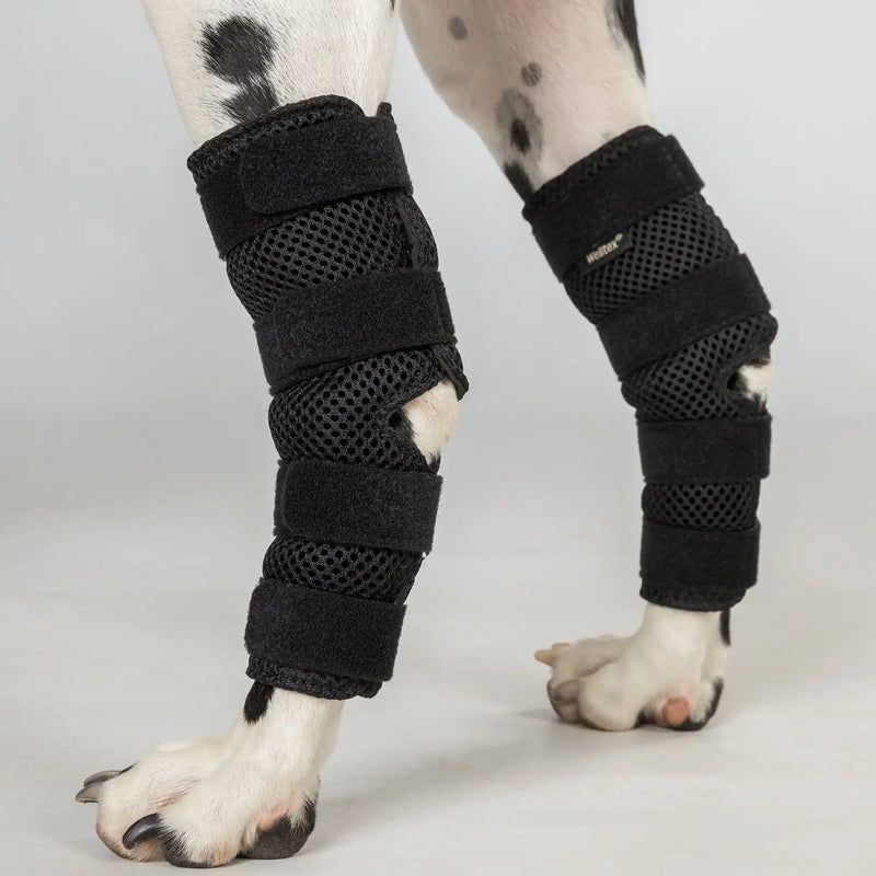 Hunde-Sprunggelenkschoner