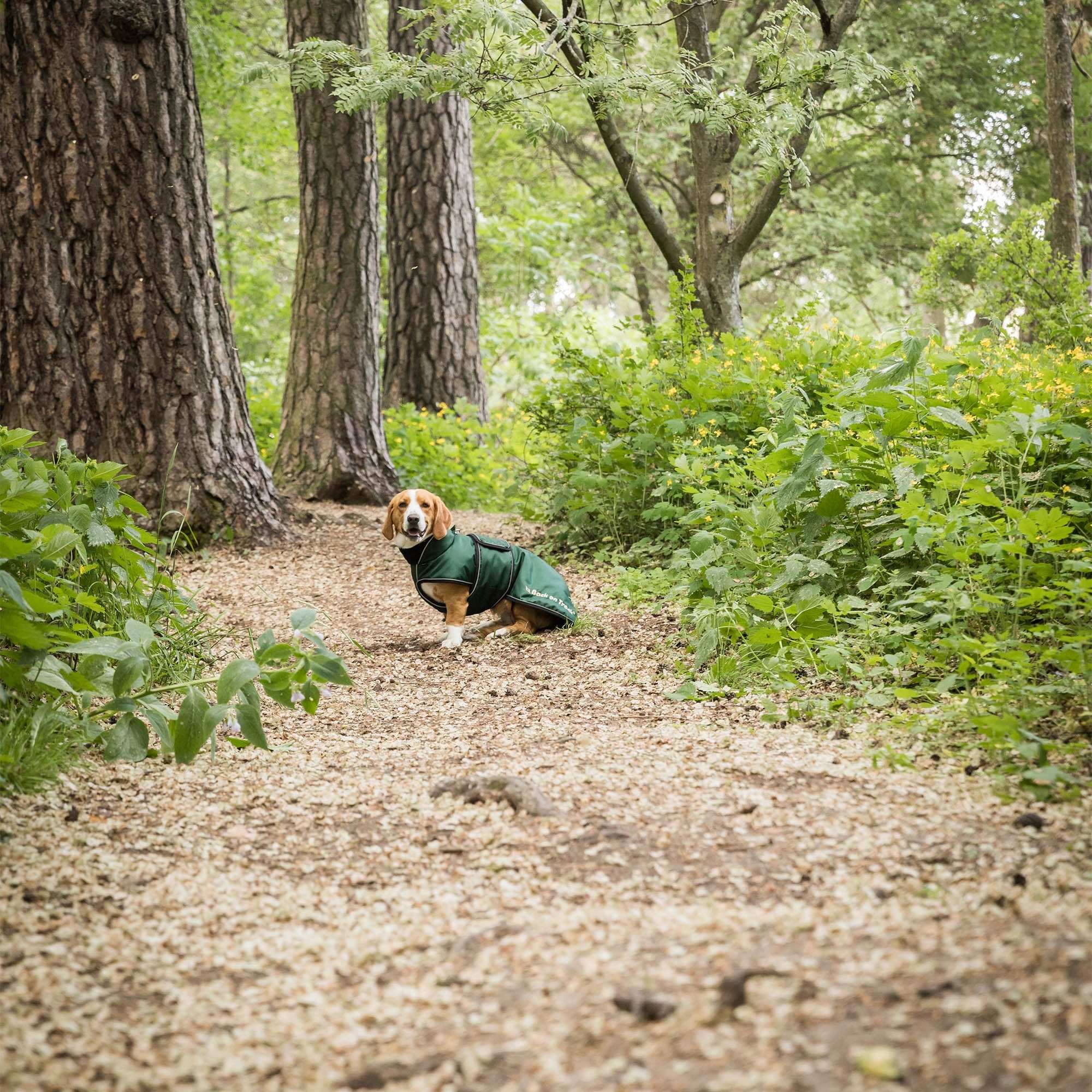 Back on Track Buddy Hundemantel lang