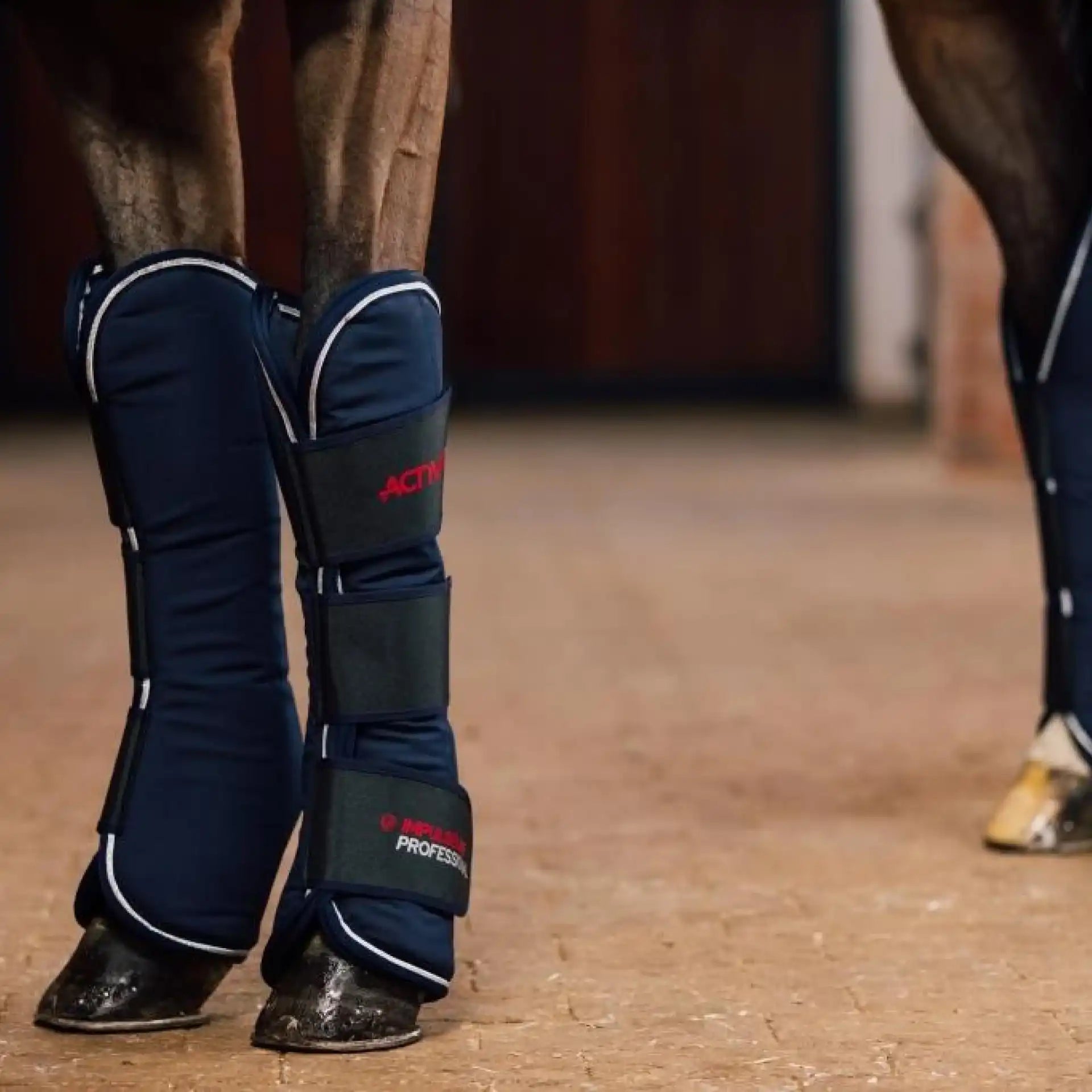 Activomed Magnetfelddecke + Massage Professional inkl. 2 Stück Gamaschen