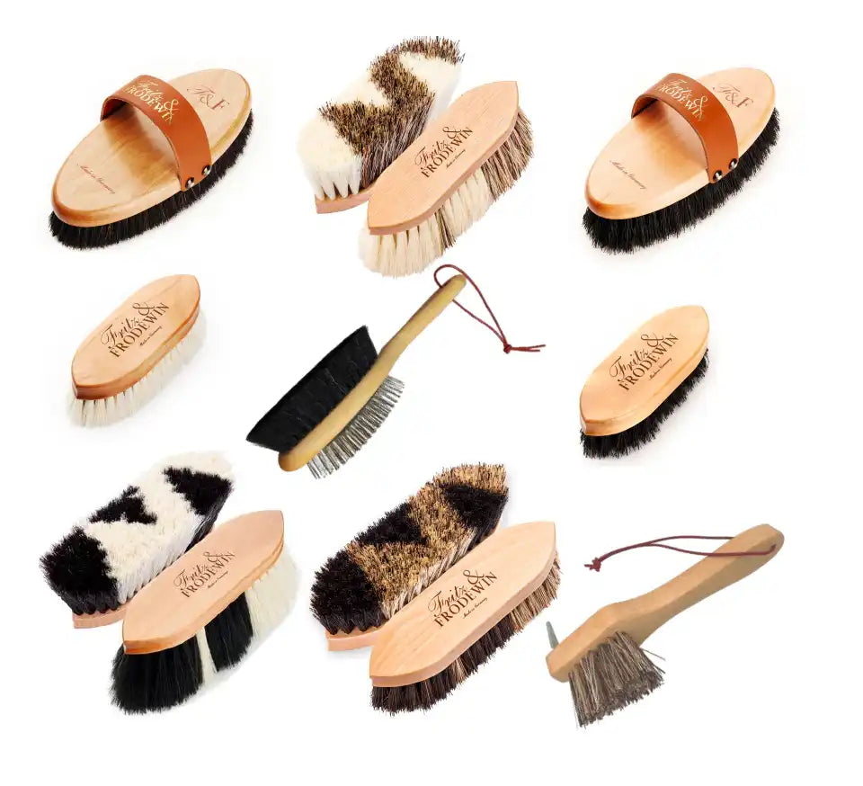 Fritz&Frodewin Premium-Set Pferdebürsten