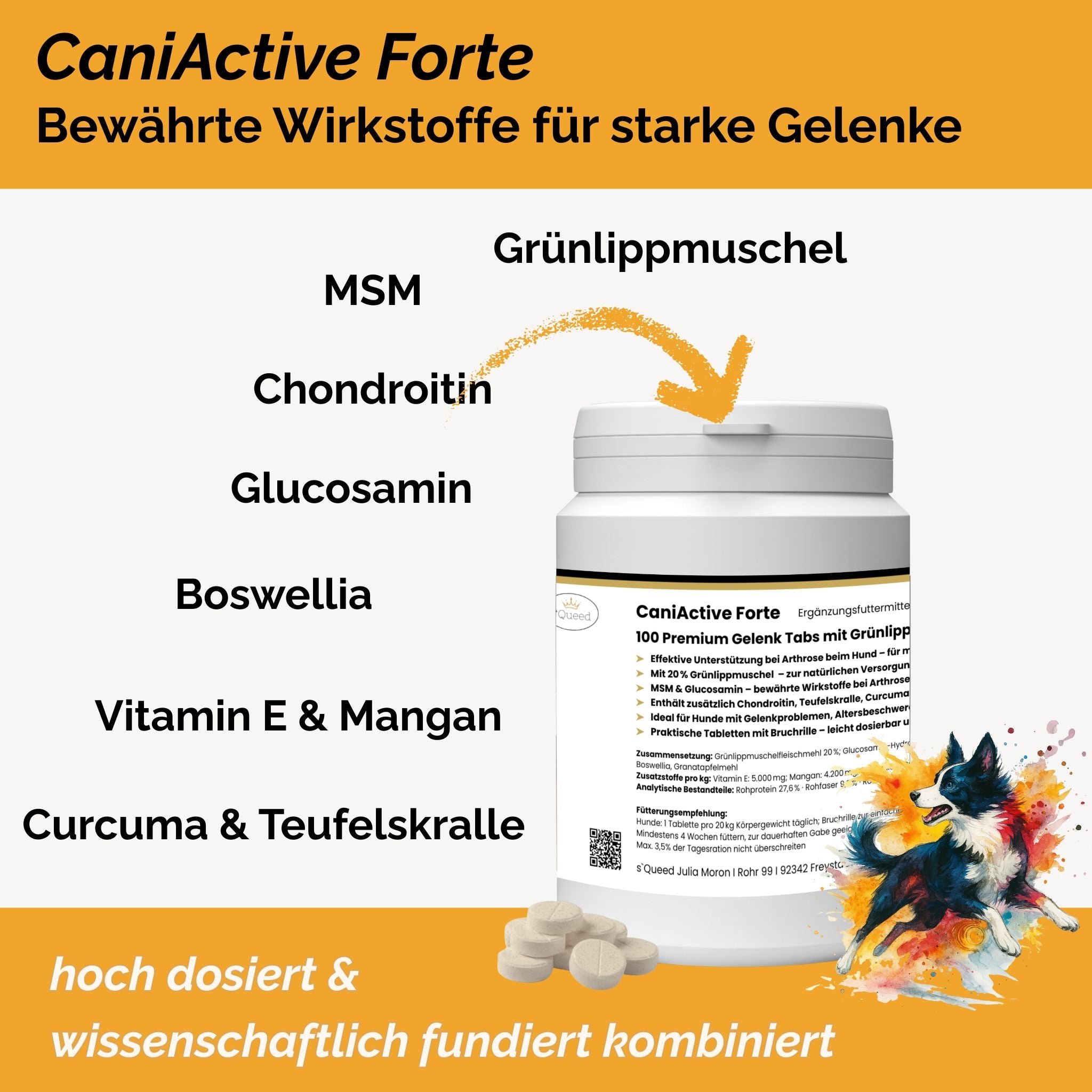 CaniActive Forte - Arthrose Hund - Grünlippmuschel Hund - MSM Hund - Glucosamin Hund