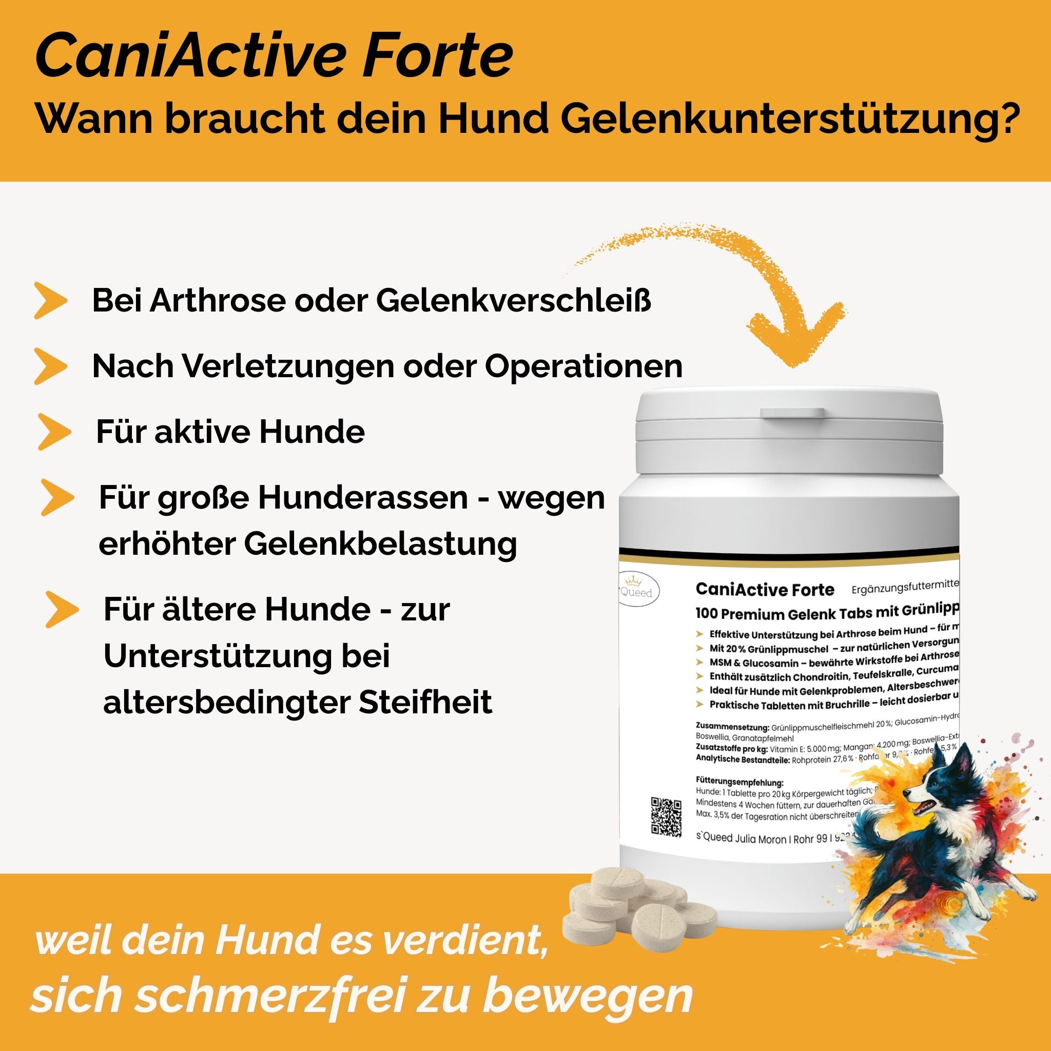 CaniActive Forte - Arthrose Hund - Grünlippmuschel Hund - MSM Hund - Glucosamin Hund