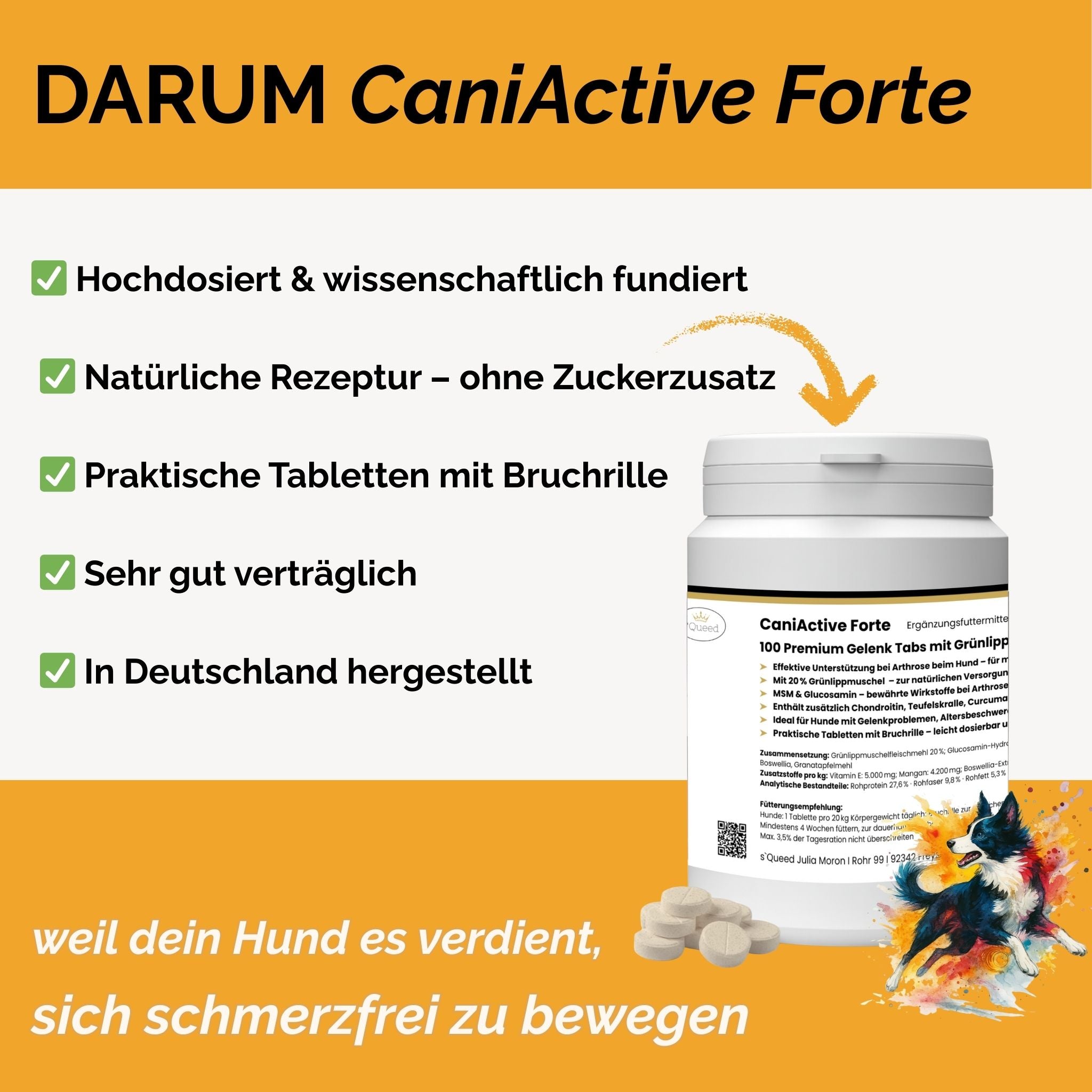 CaniActive Forte - Arthrose Hund - Grünlippmuschel Hund - MSM Hund - Glucosamin Hund