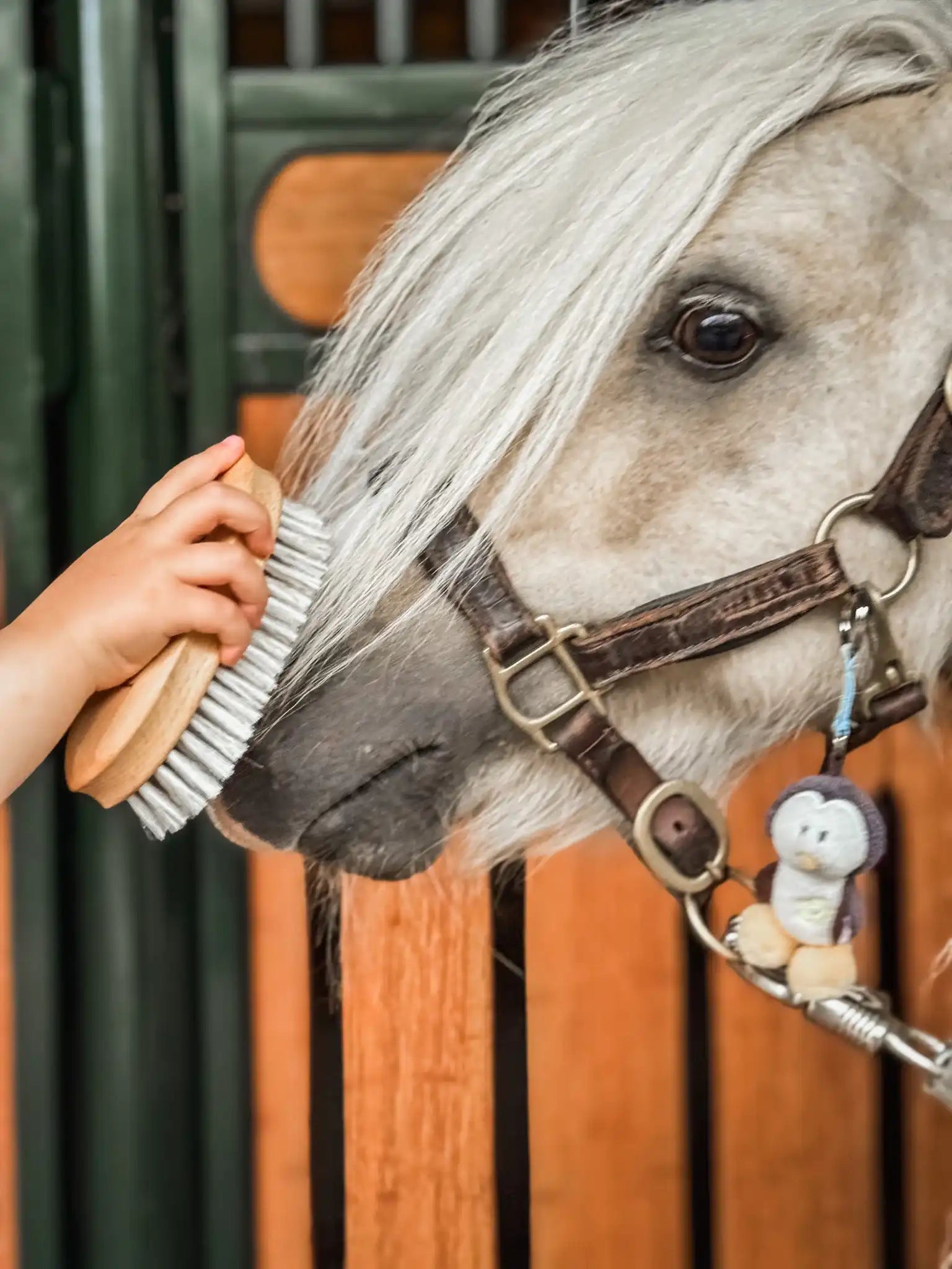 Fritz&Frodewin Allroundbürste Curt
