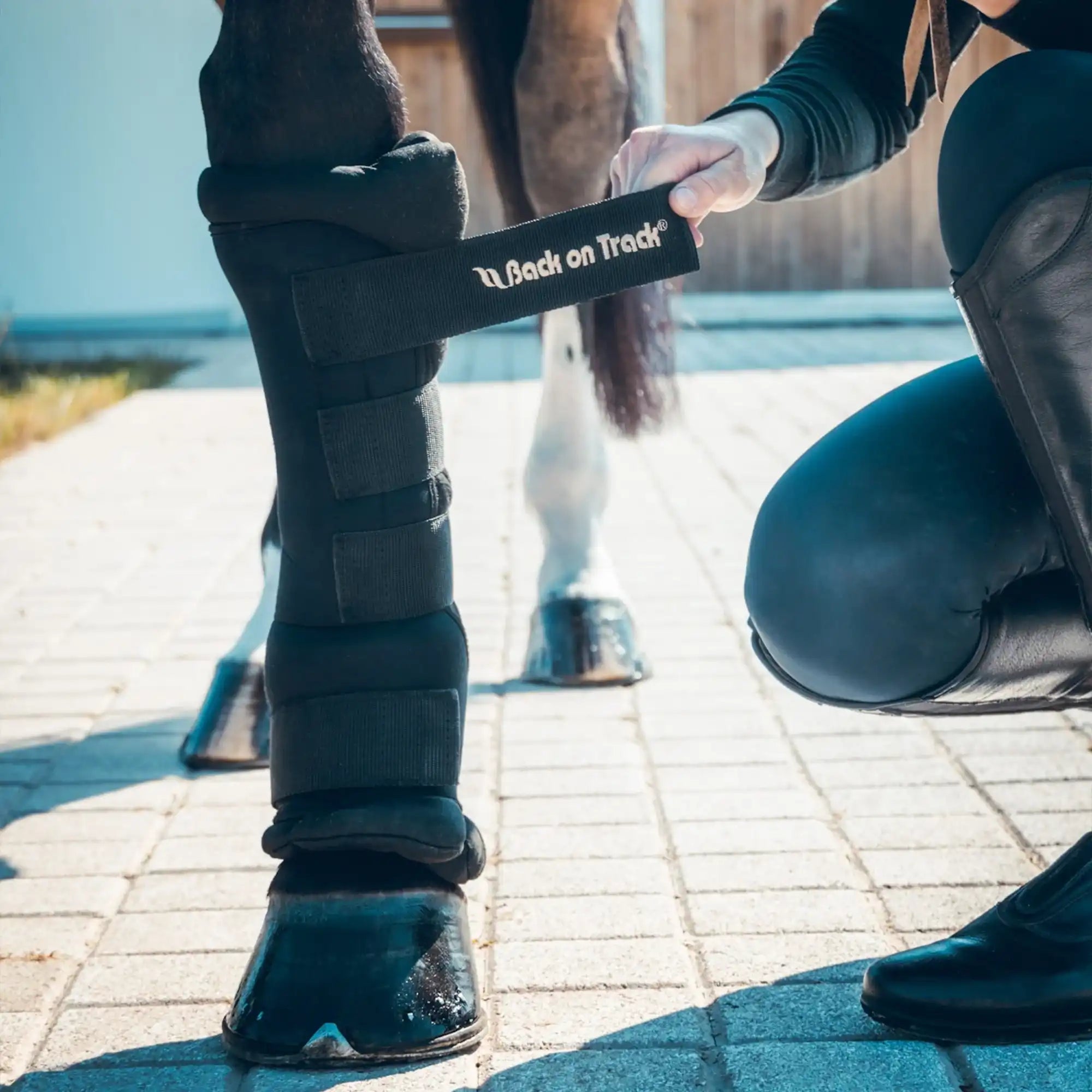 Stallgamaschen Royal