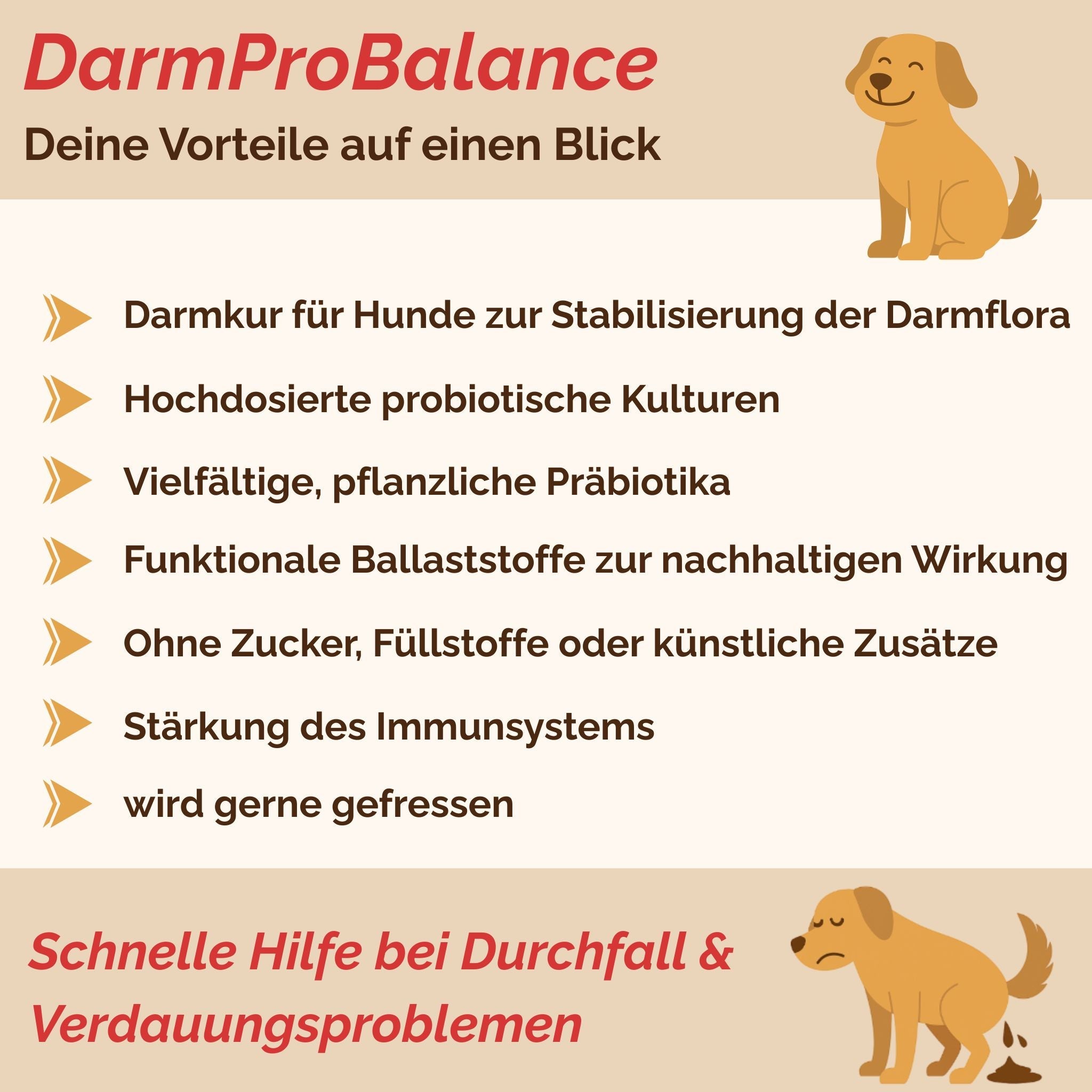 Darmpulver Hund - Durchfall Hund - Darmflora Hund aufbauen