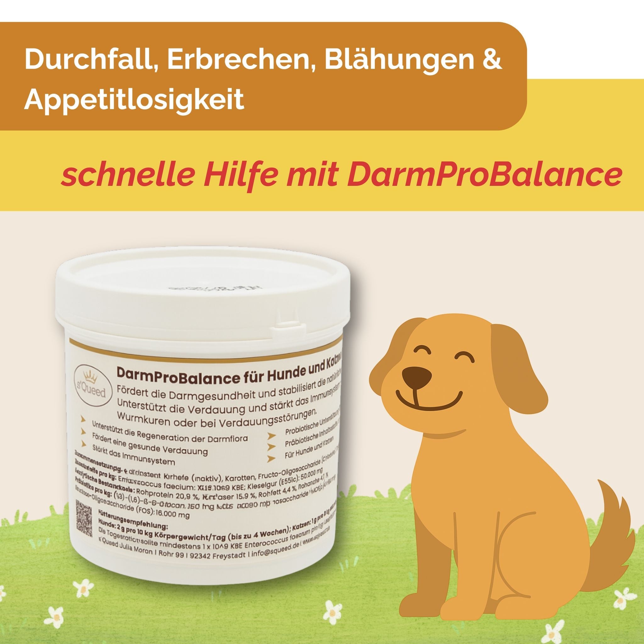 Darmpulver Hund - Durchfall Hund - Darmflora Hund aufbauen