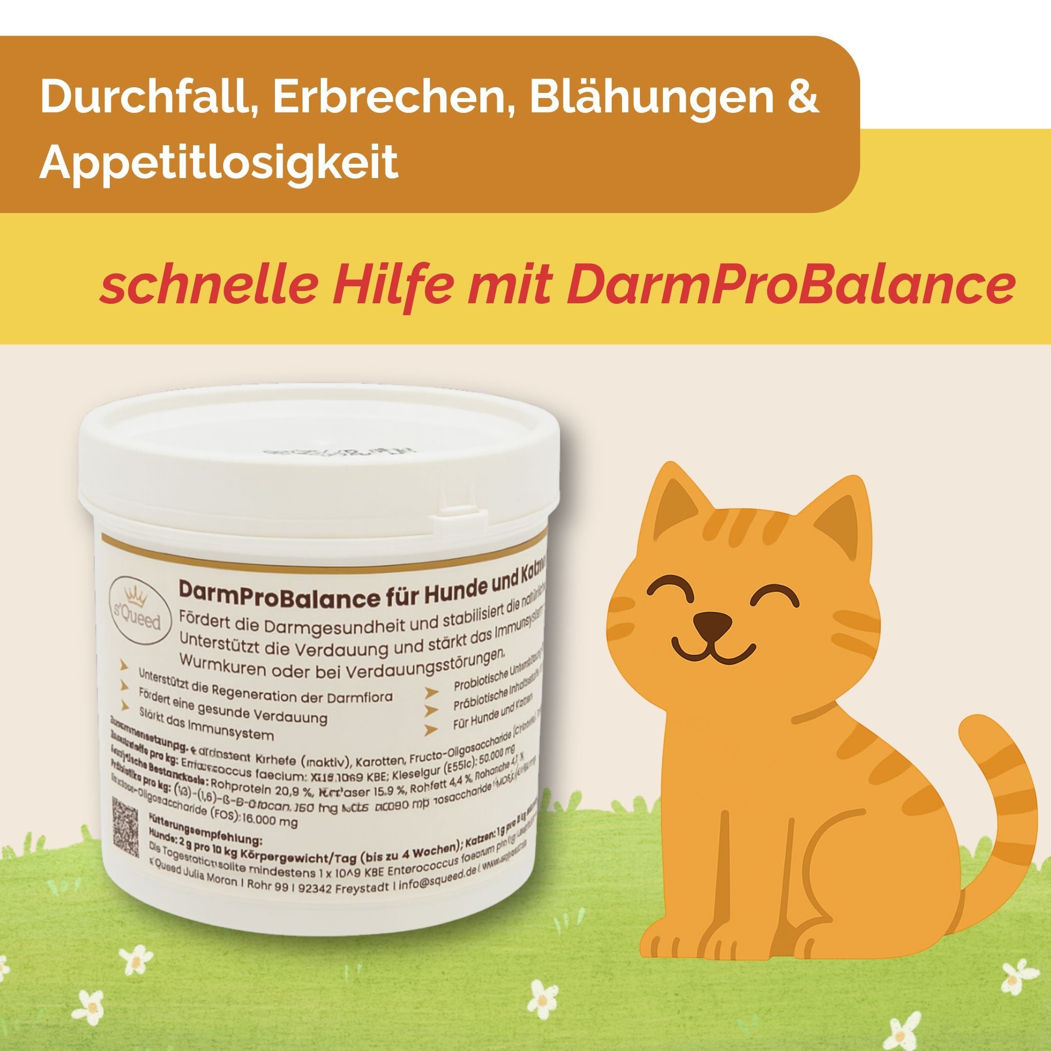 Darmpulver Katze - Durchfall und  Erbrechen Katze -Darmflora Katze aufbauen