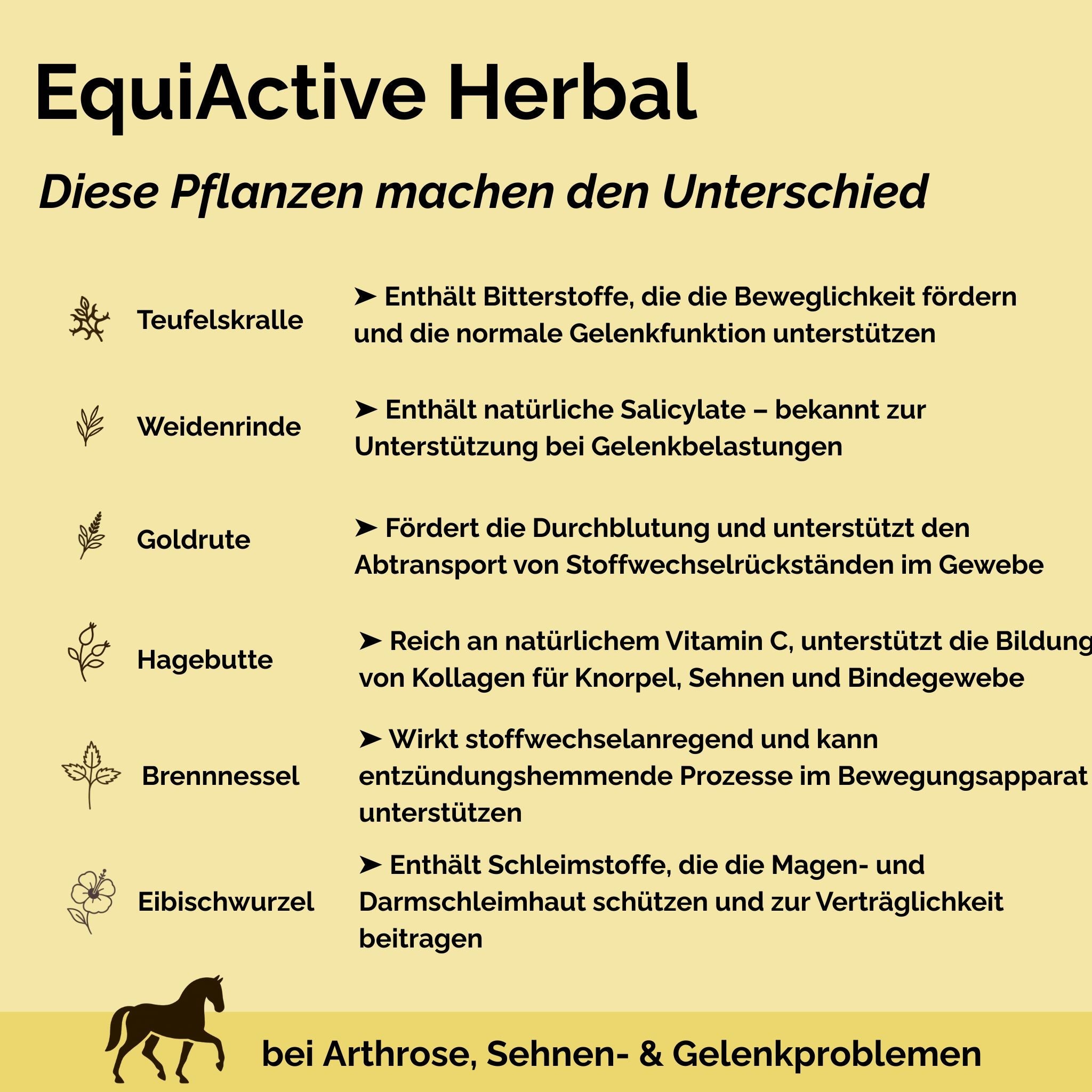 EquiActive Herbal – Zusatzfutter für Pferde mit Arthrose und Bewegungseinschränkungen