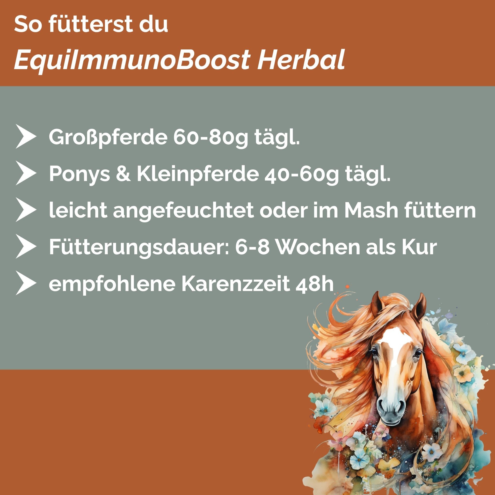 EquiImmunoBoost Herbal – Immunkräuter für Pferde zur Stärkung des Immunsystems