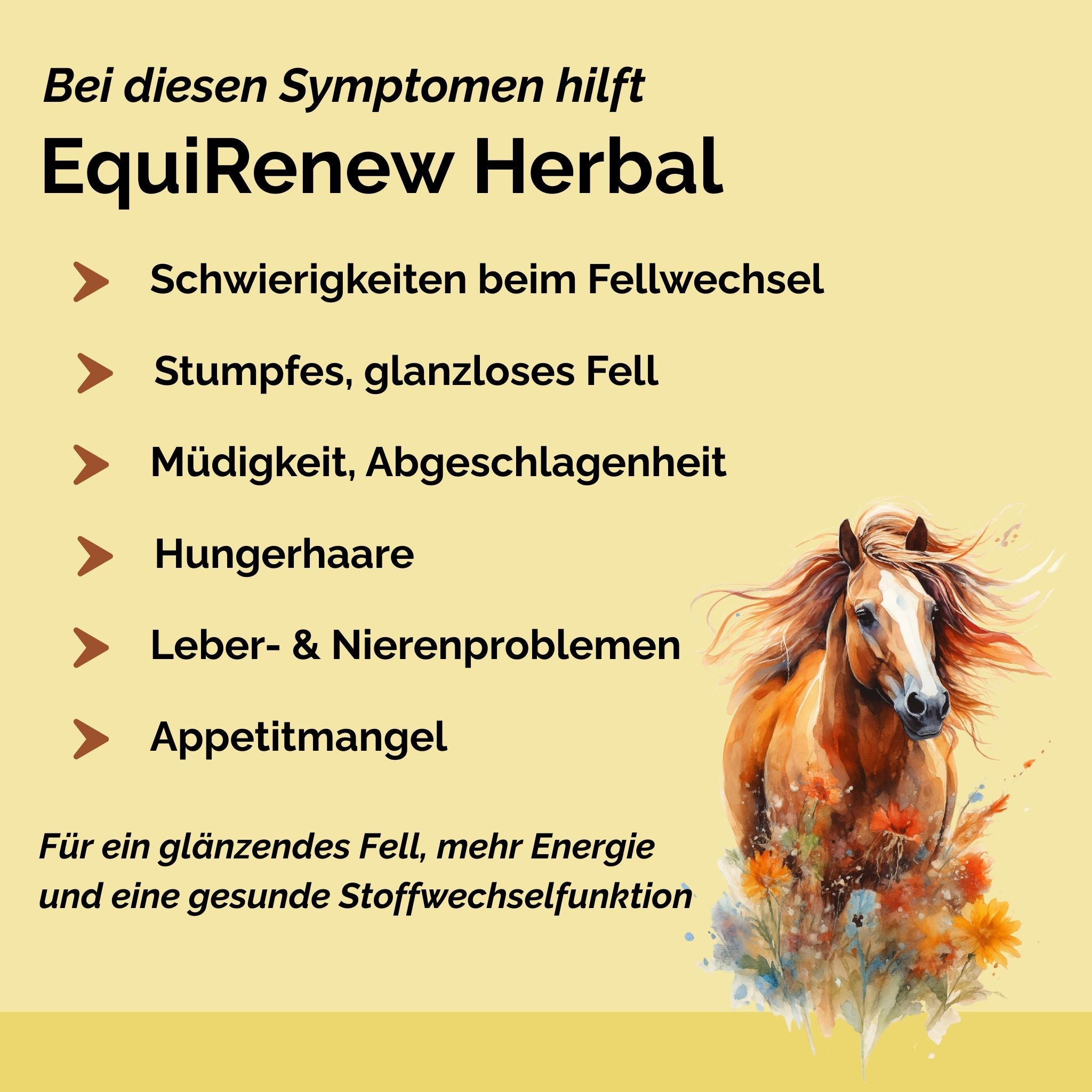 EquiRenew Herbal - Fellwechsel beim Pferd unterstützen