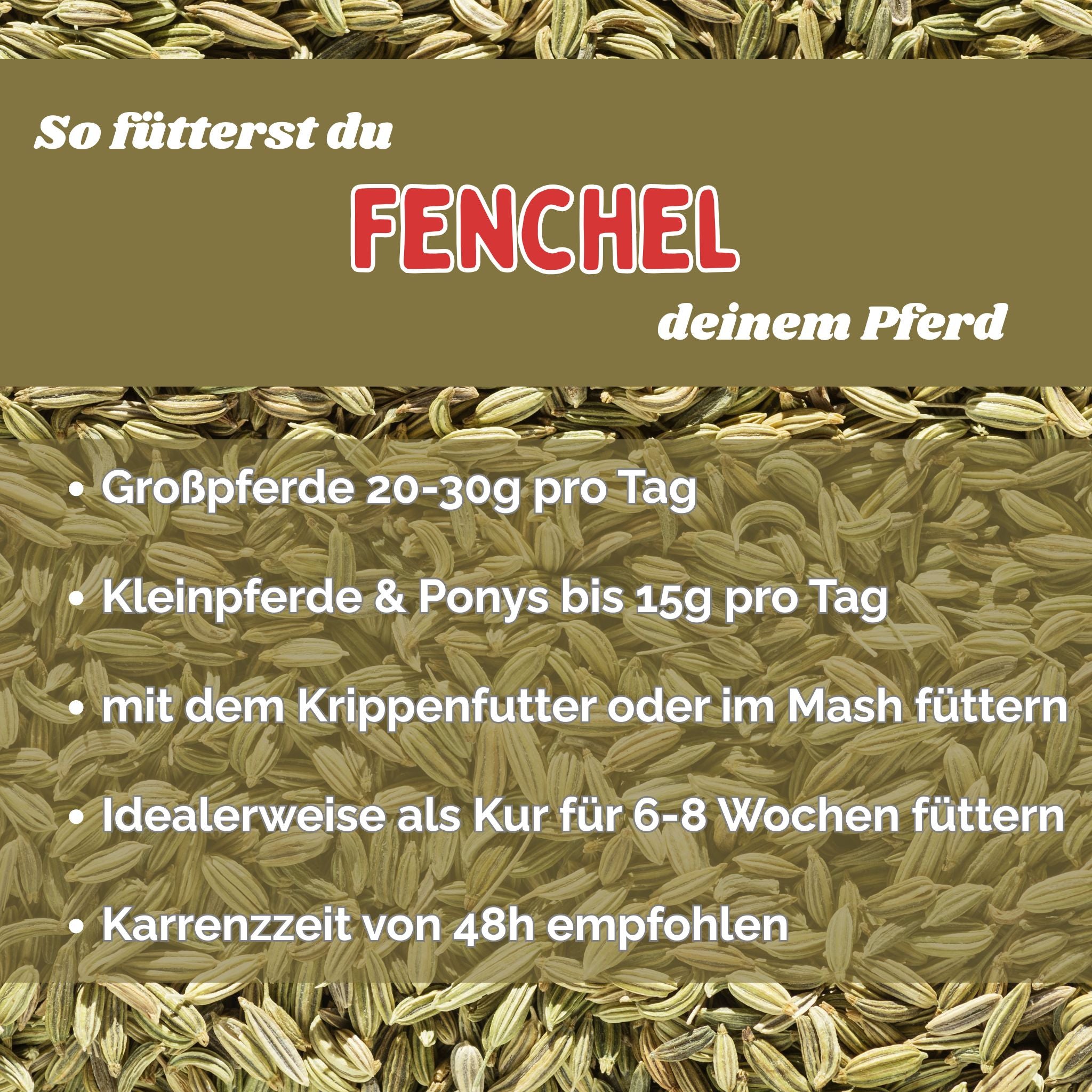 Fenchel Pferd - Hustenkräuter für Pferde - Magenkräuter Pferd