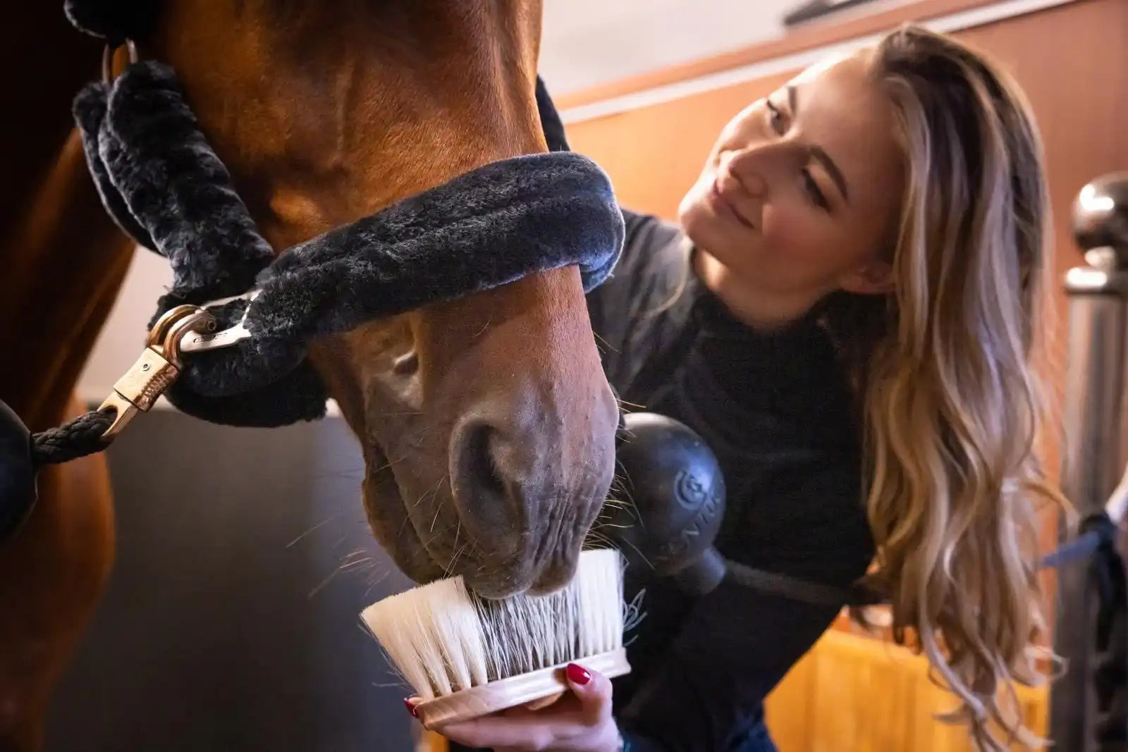 Fritz&Frodewin Wurzelbürste