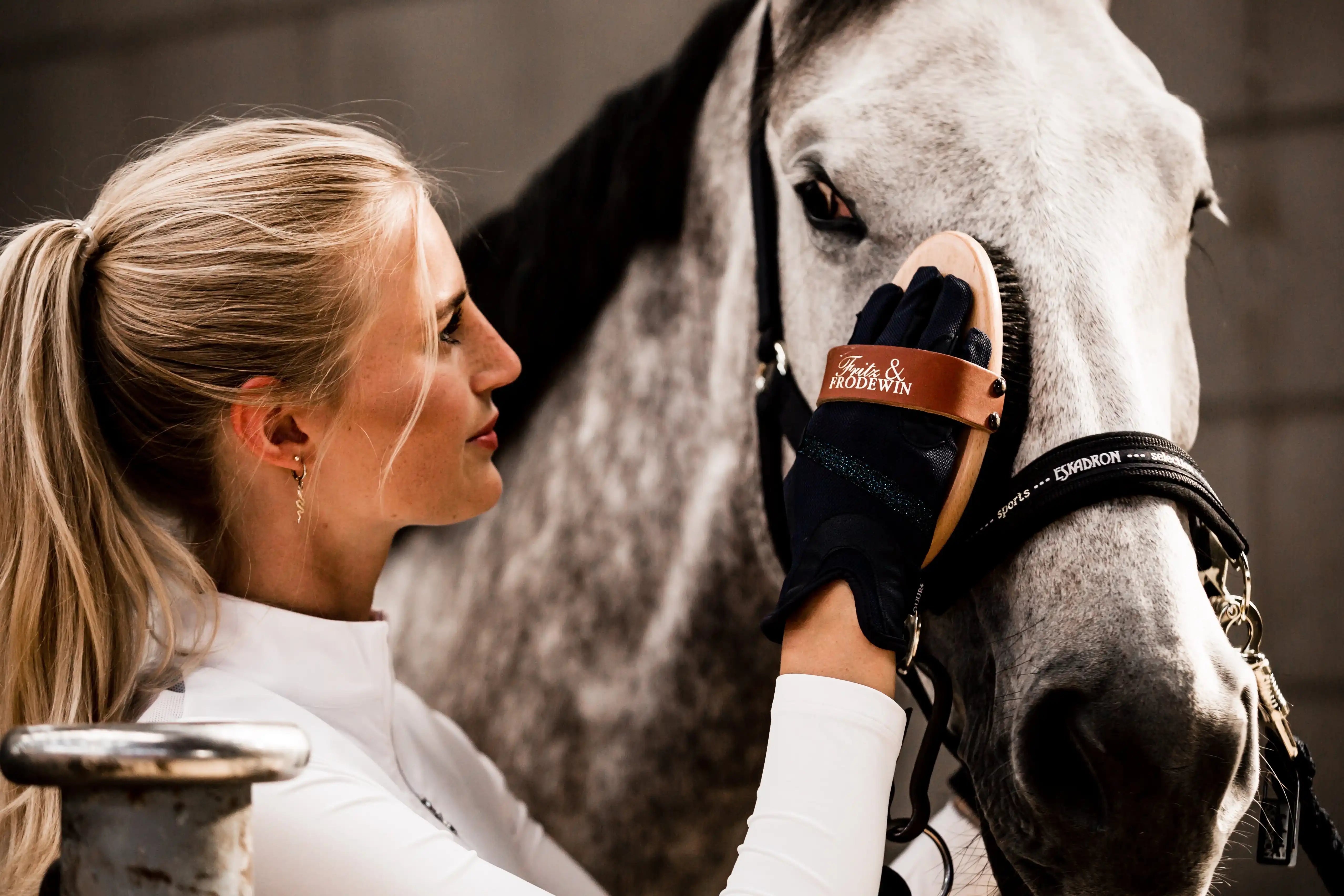Fritz&Frodewin Groom-Set II. Pferdebürsten York, Harriet, Ludwig & Frieda