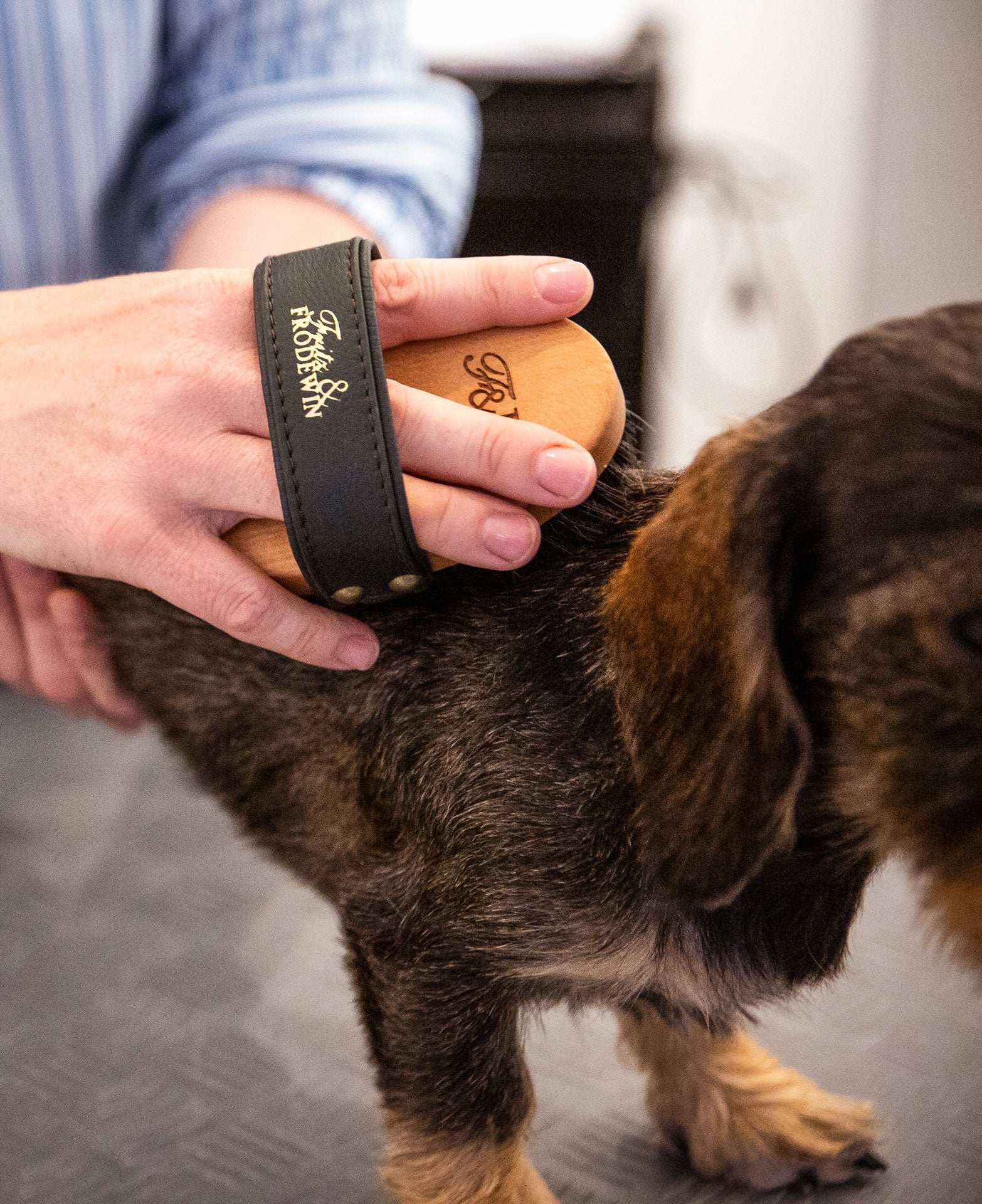 Fritz&Frodewin Hundebürsten-Set