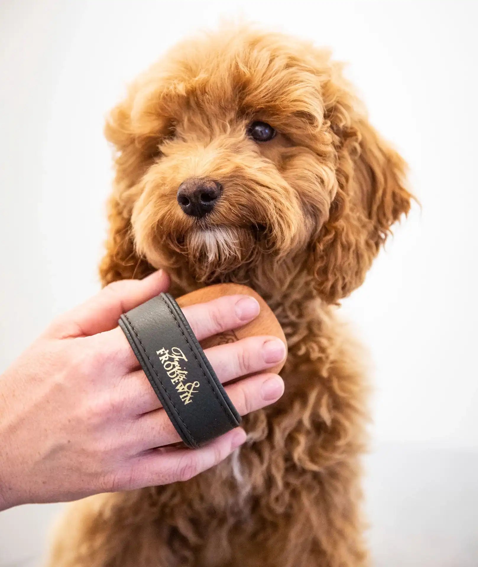 Fritz&Frodewin Pertunia - Hundebürste Langhaar