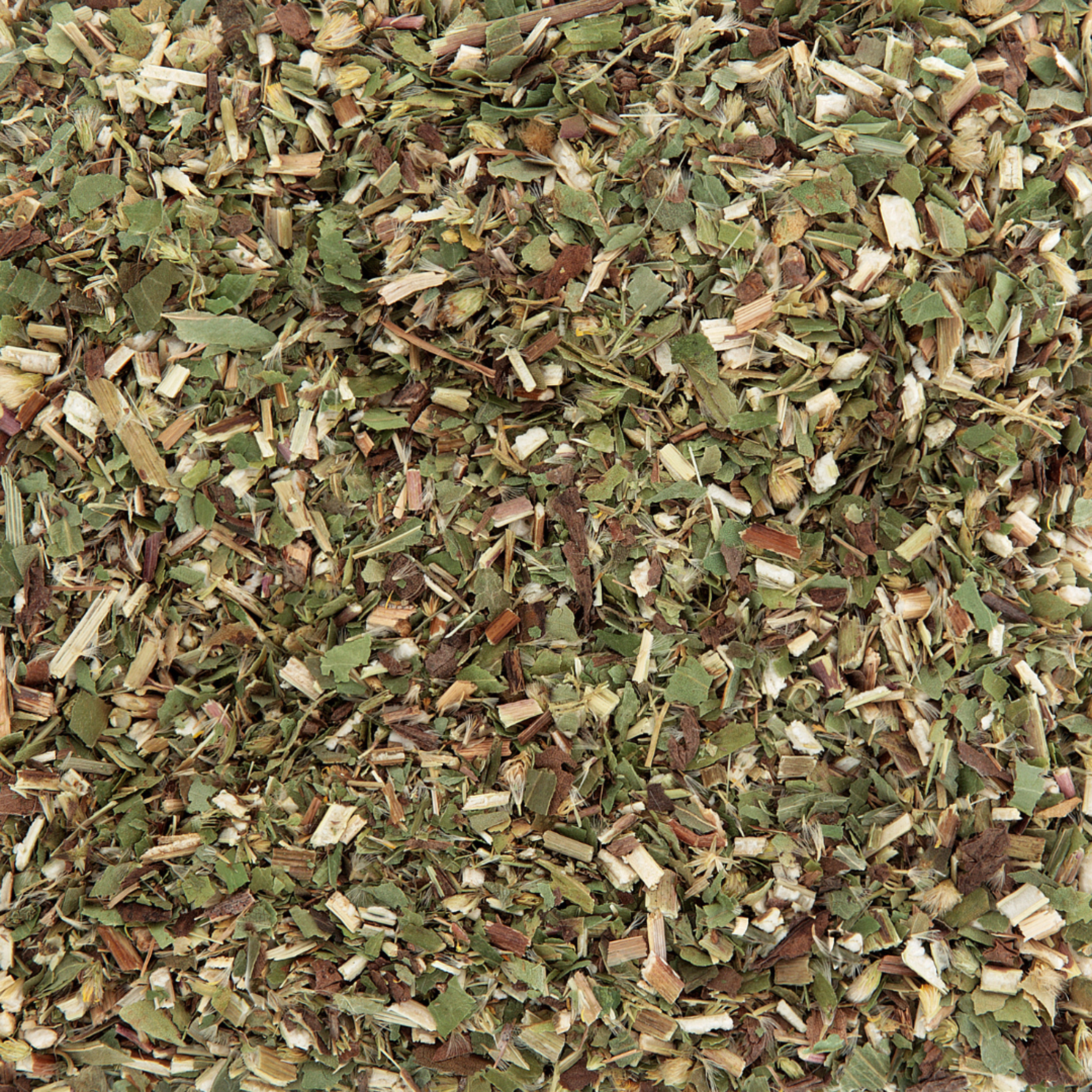 Goldrute Pferd bei Stoffwechselproblemen und für gesunde Nieren und Blase