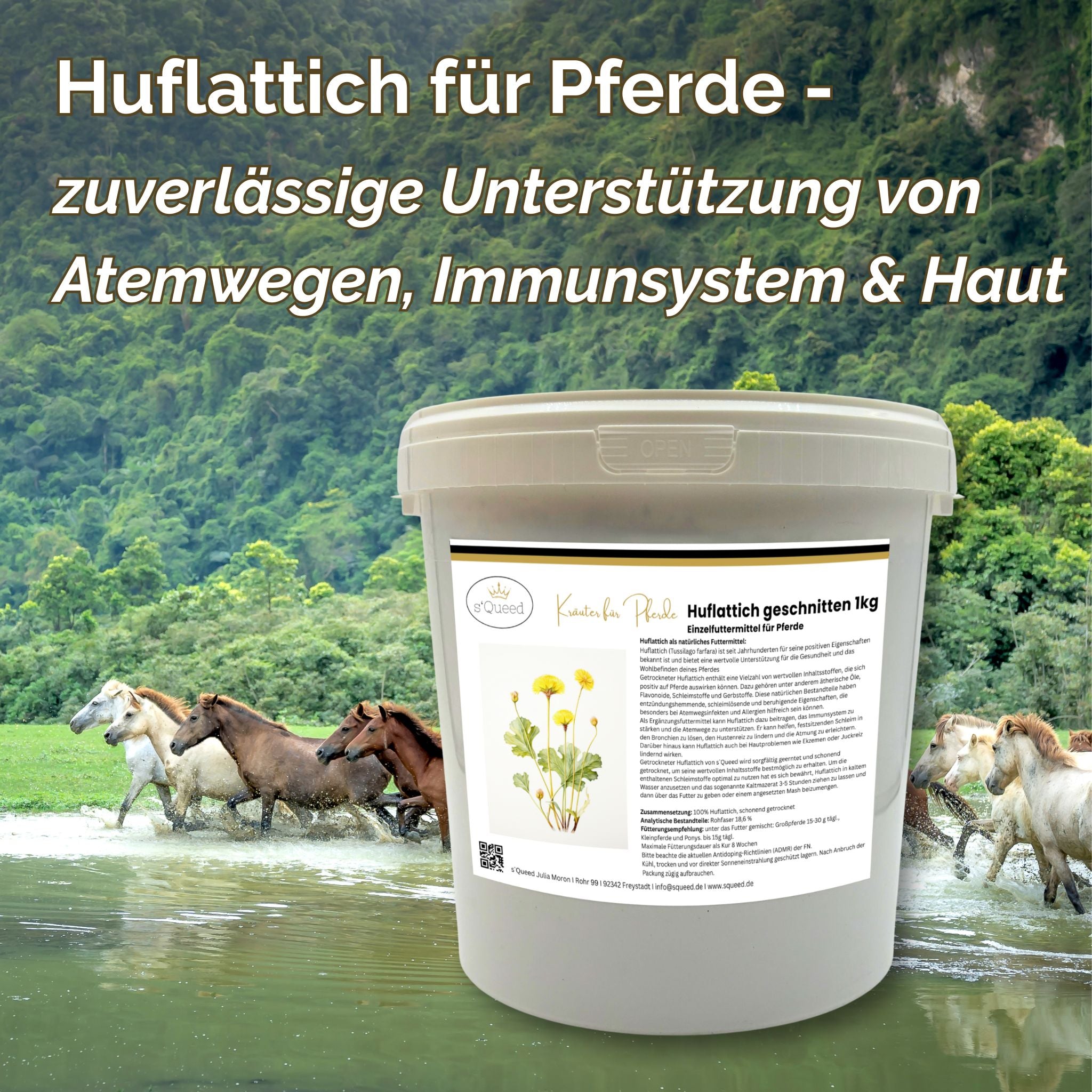 Huflattich Pferd - Hustenkräuter für Pferde - Schleimlöser Pferd