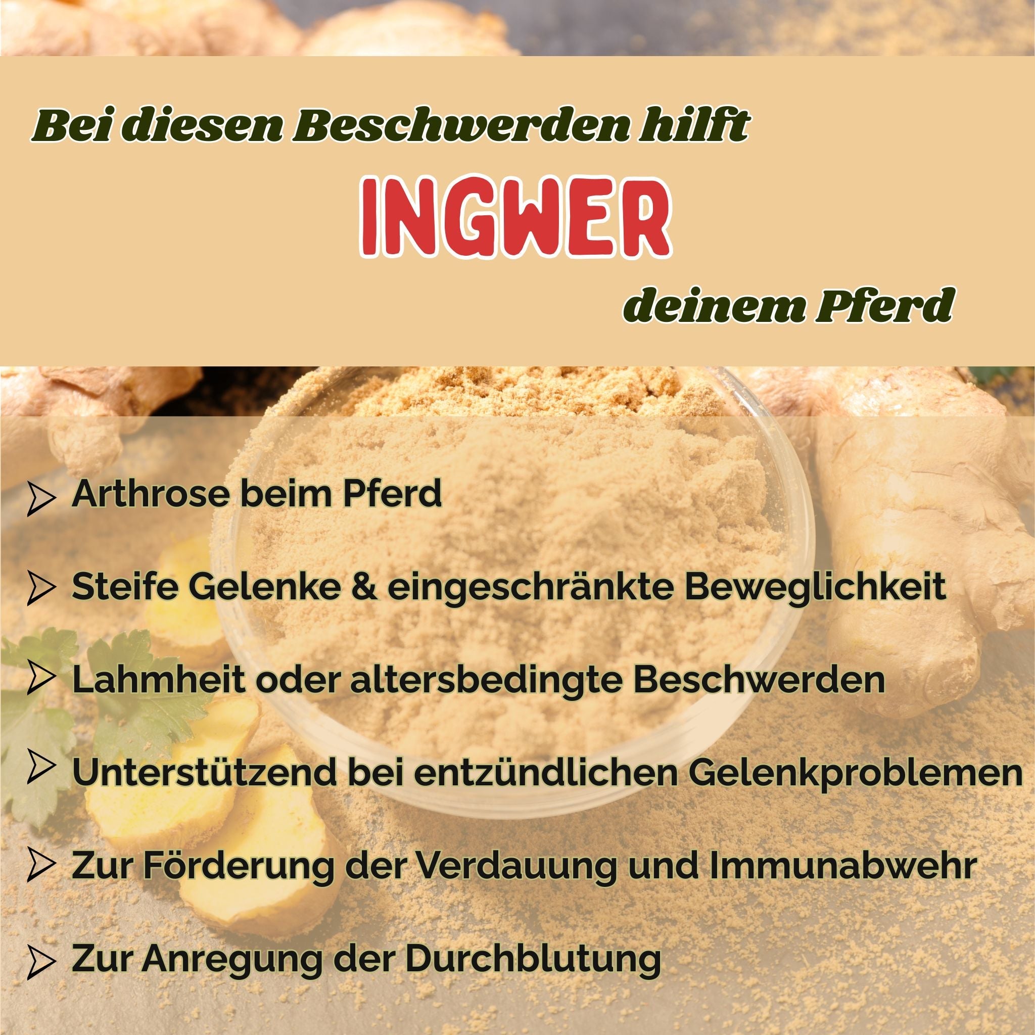 Ingwer Pferd Pulver 1kg
