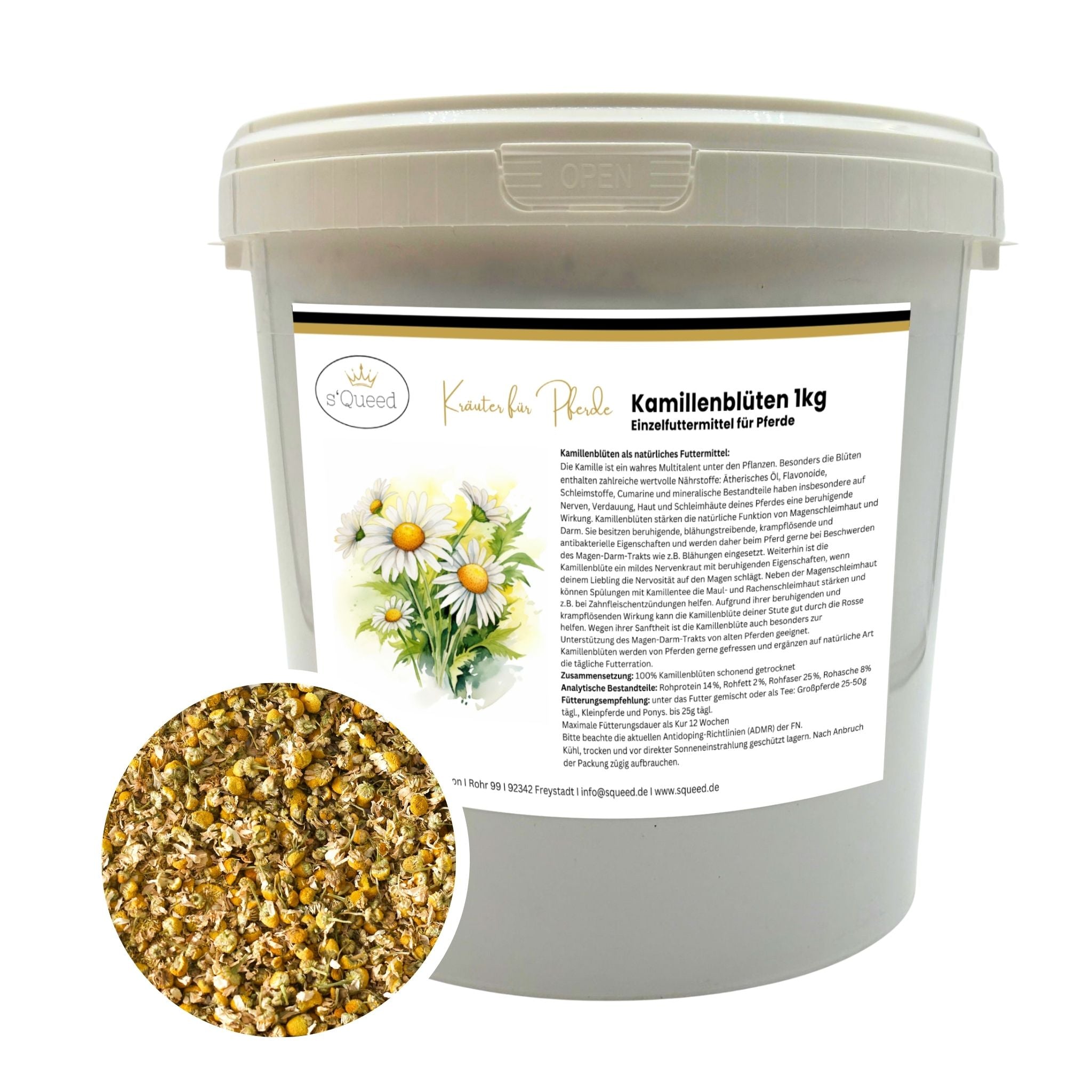 Kamille Pferd ganze Blüte