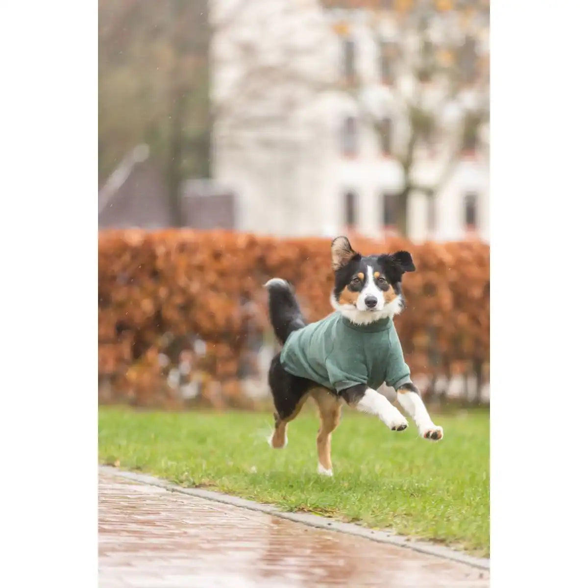 Sweatshirt CityStyle Amsterdam