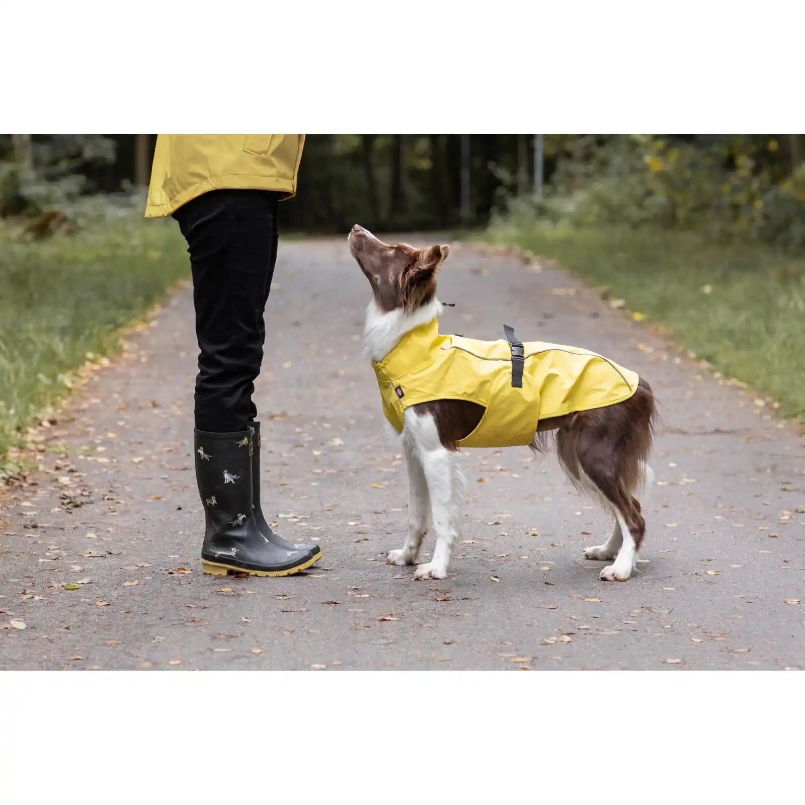 Regenmantel Vimy für Hunde