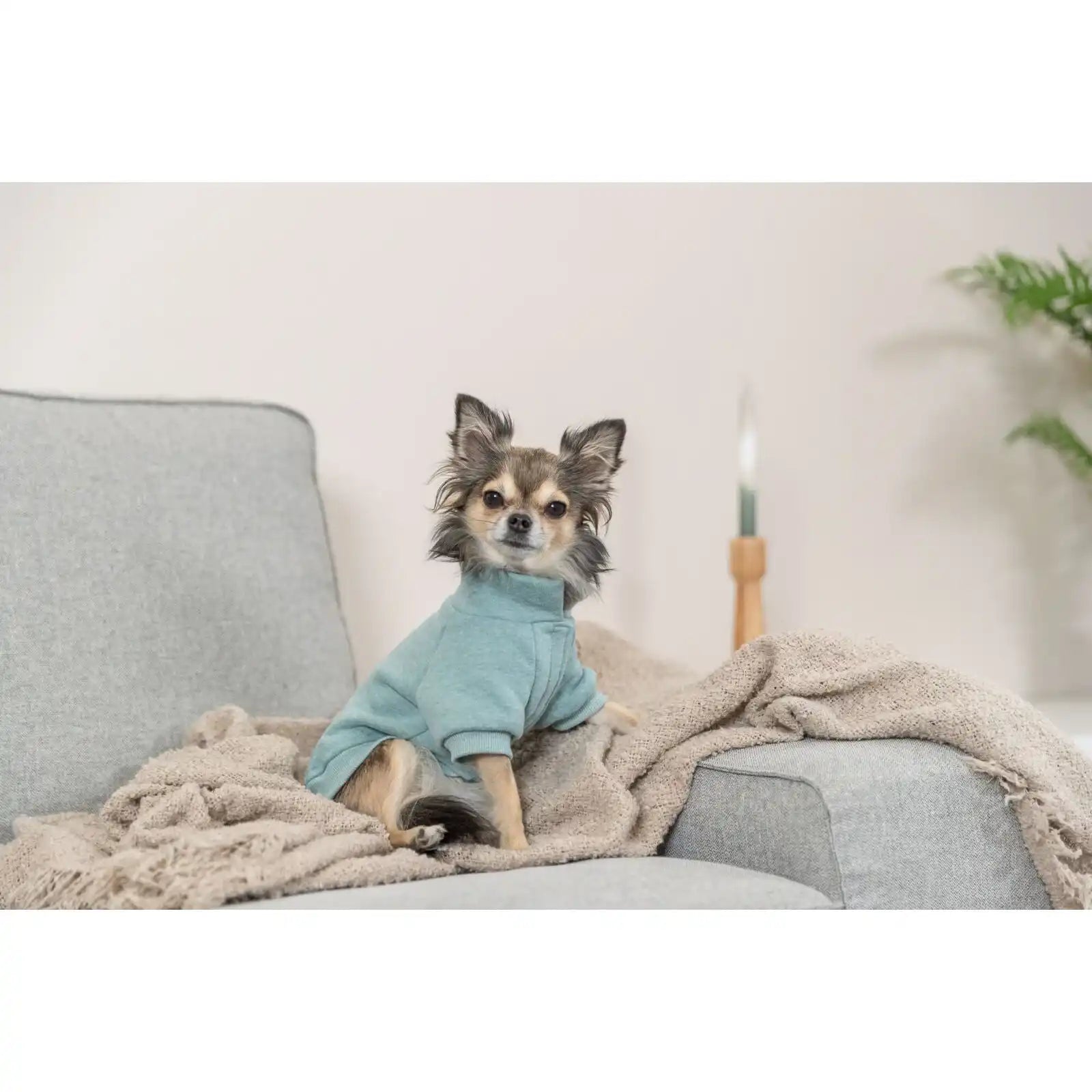 Sweatshirt Littleton