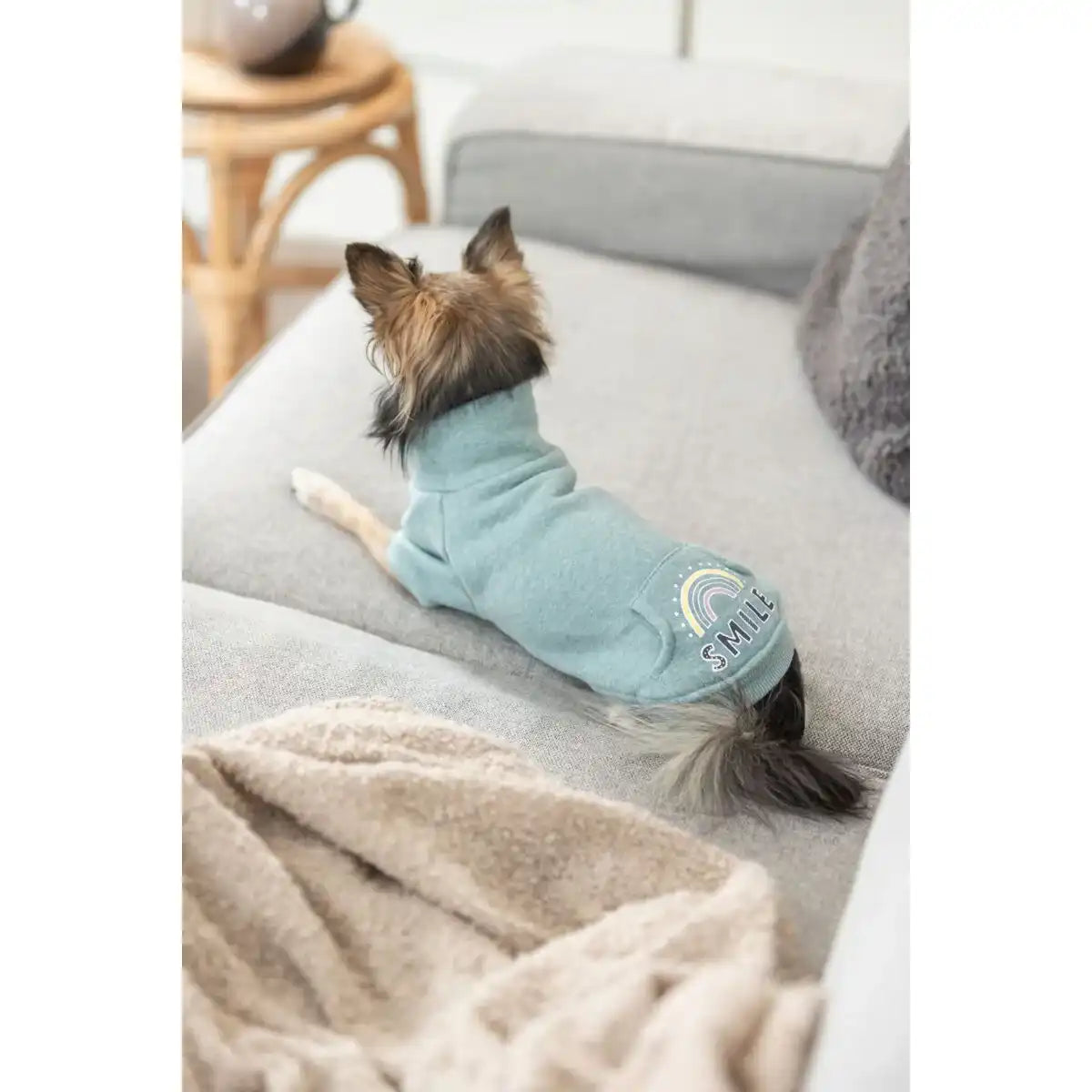 Sweatshirt Littleton