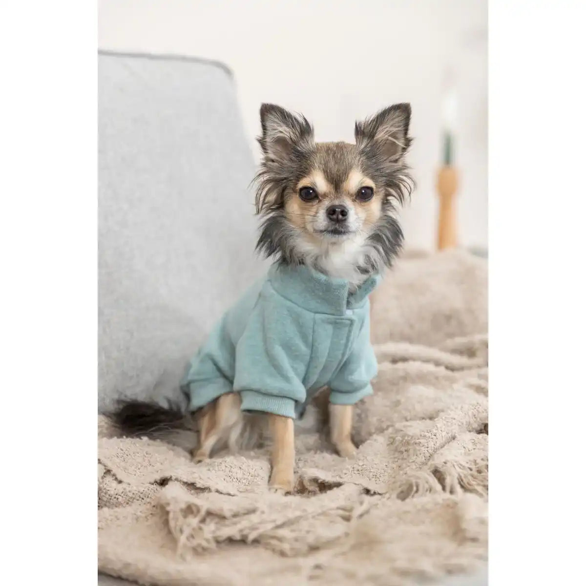 Sweatshirt Littleton