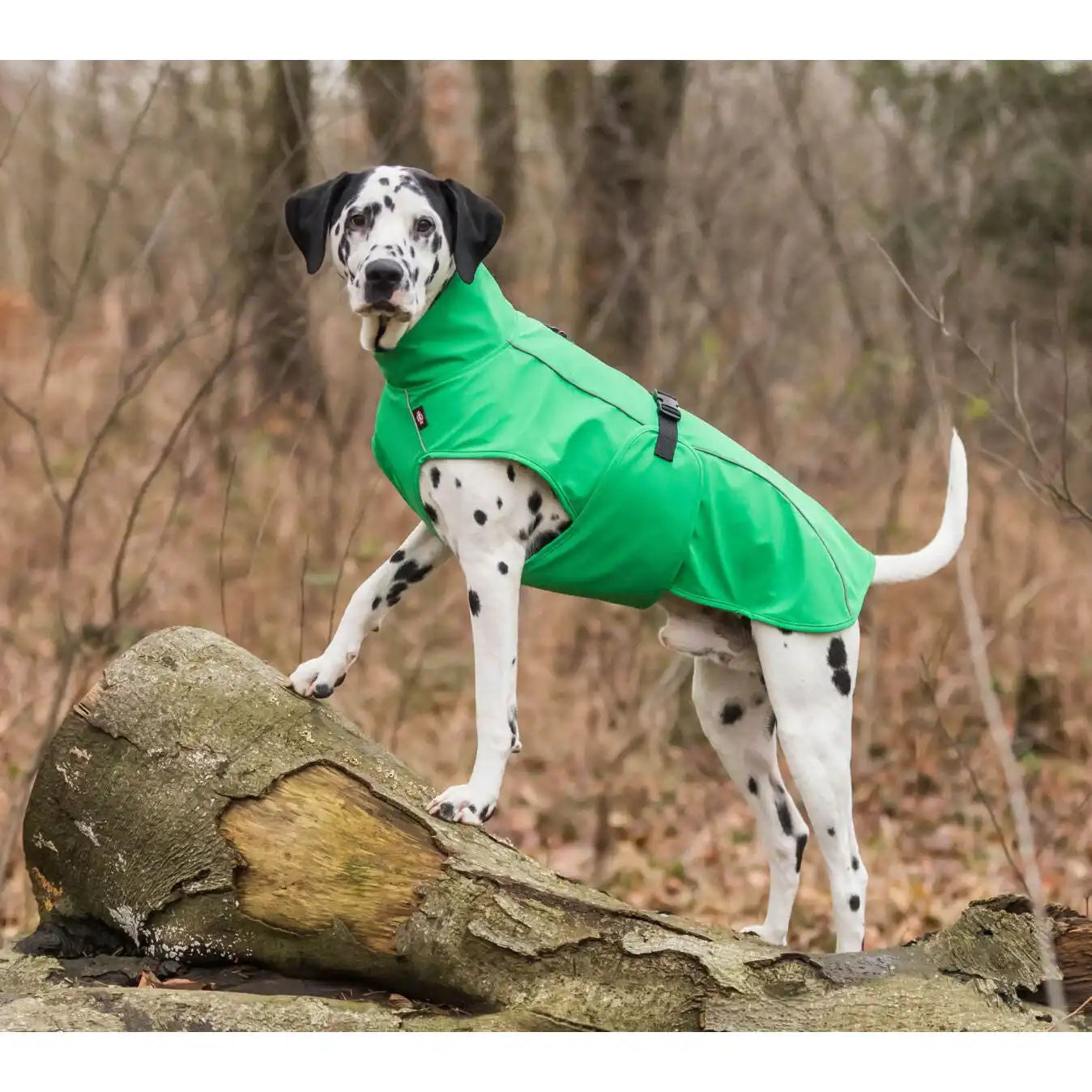 Regenmantel Vimy für Hunde