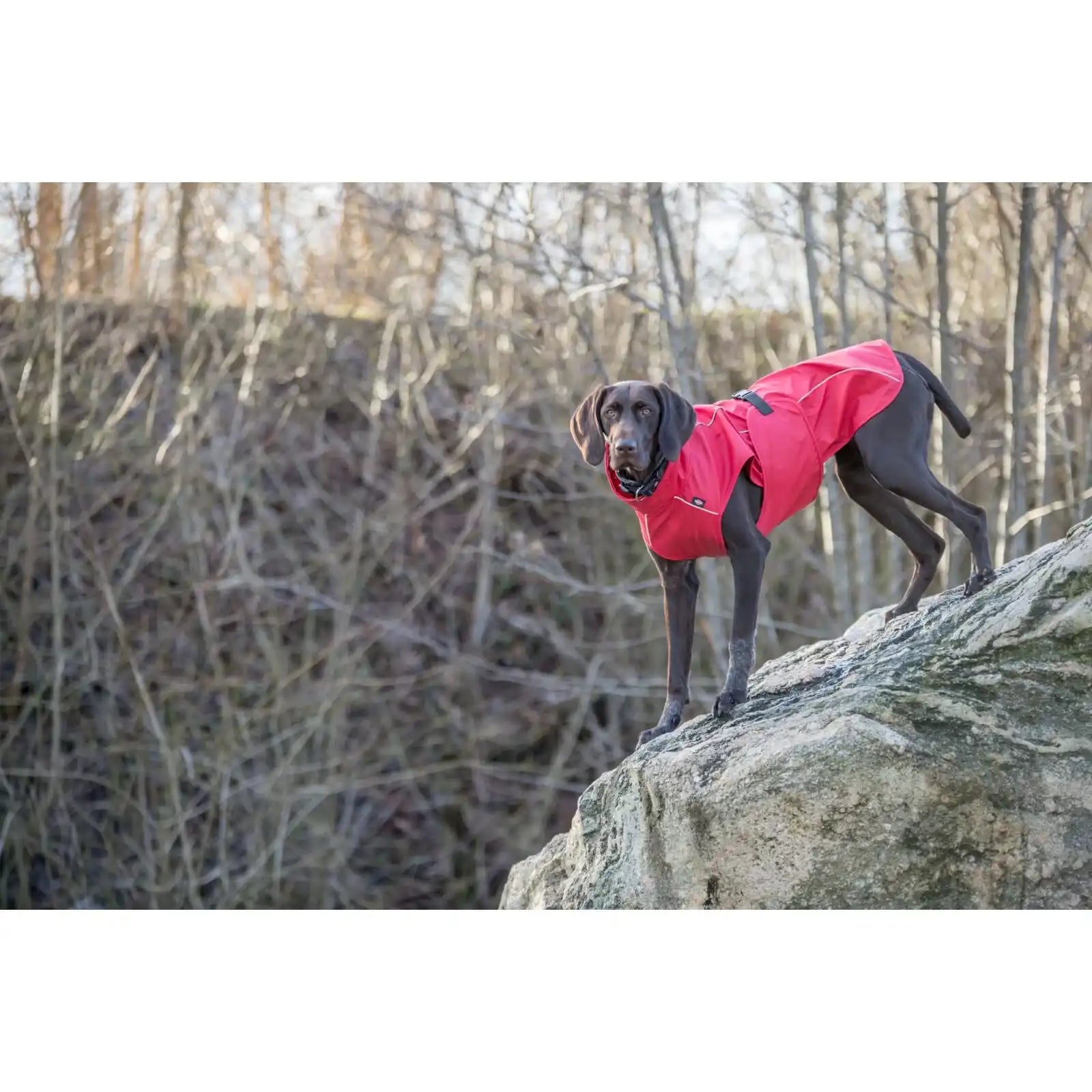 Regenmantel Vimy für Hunde