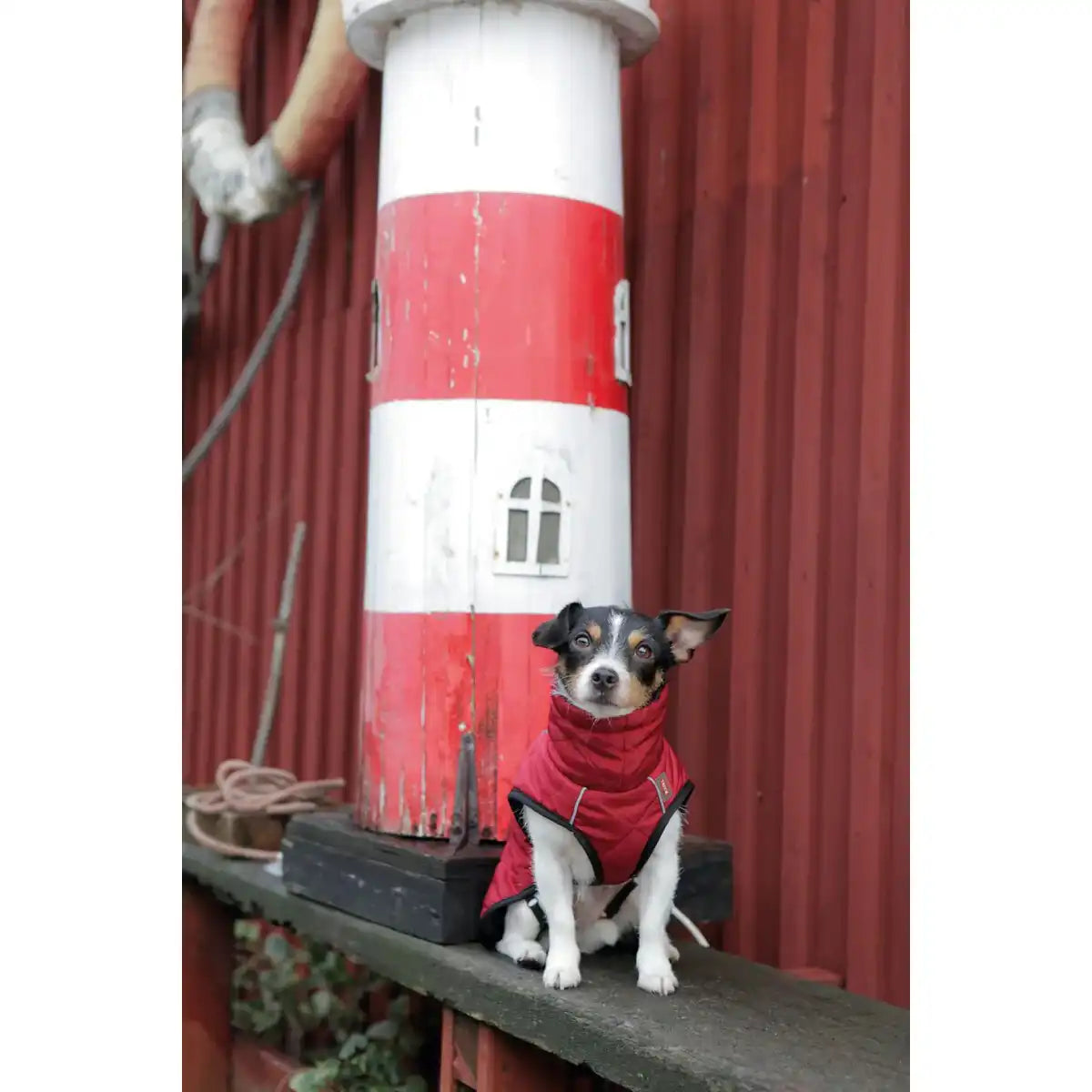 Hundemantel Minot
