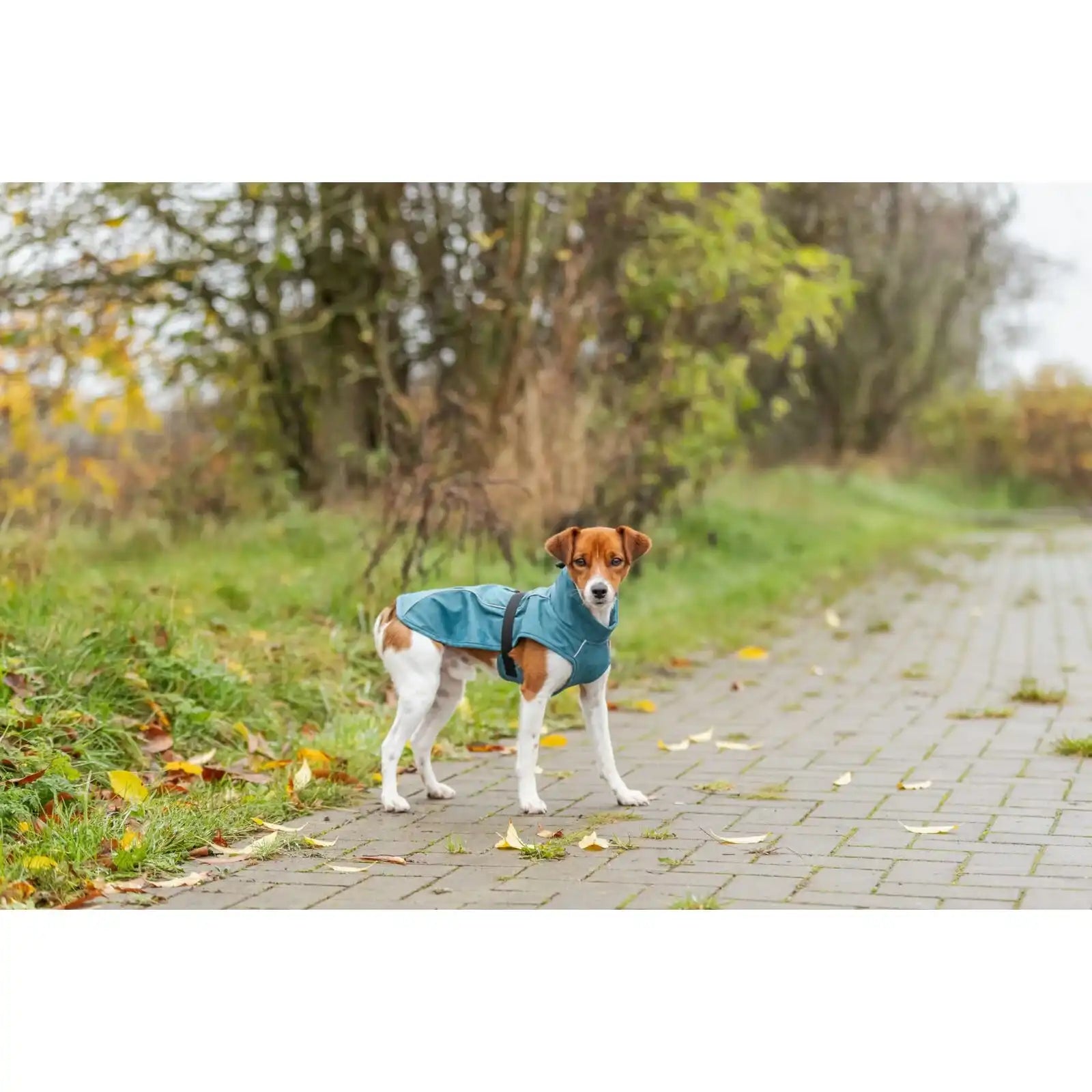 Regenmantel Vimy für Hunde