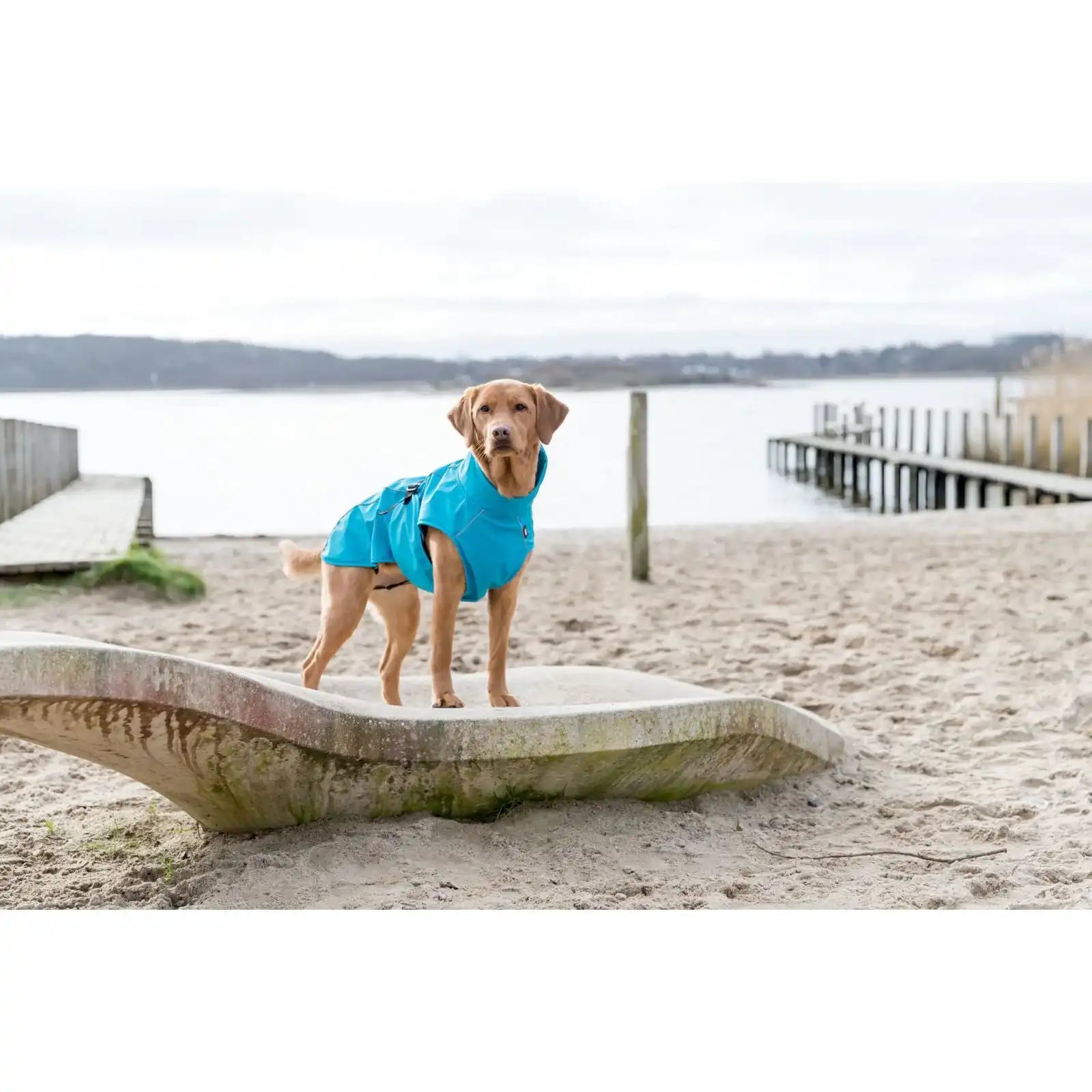 Regenmantel Vimy für Hunde