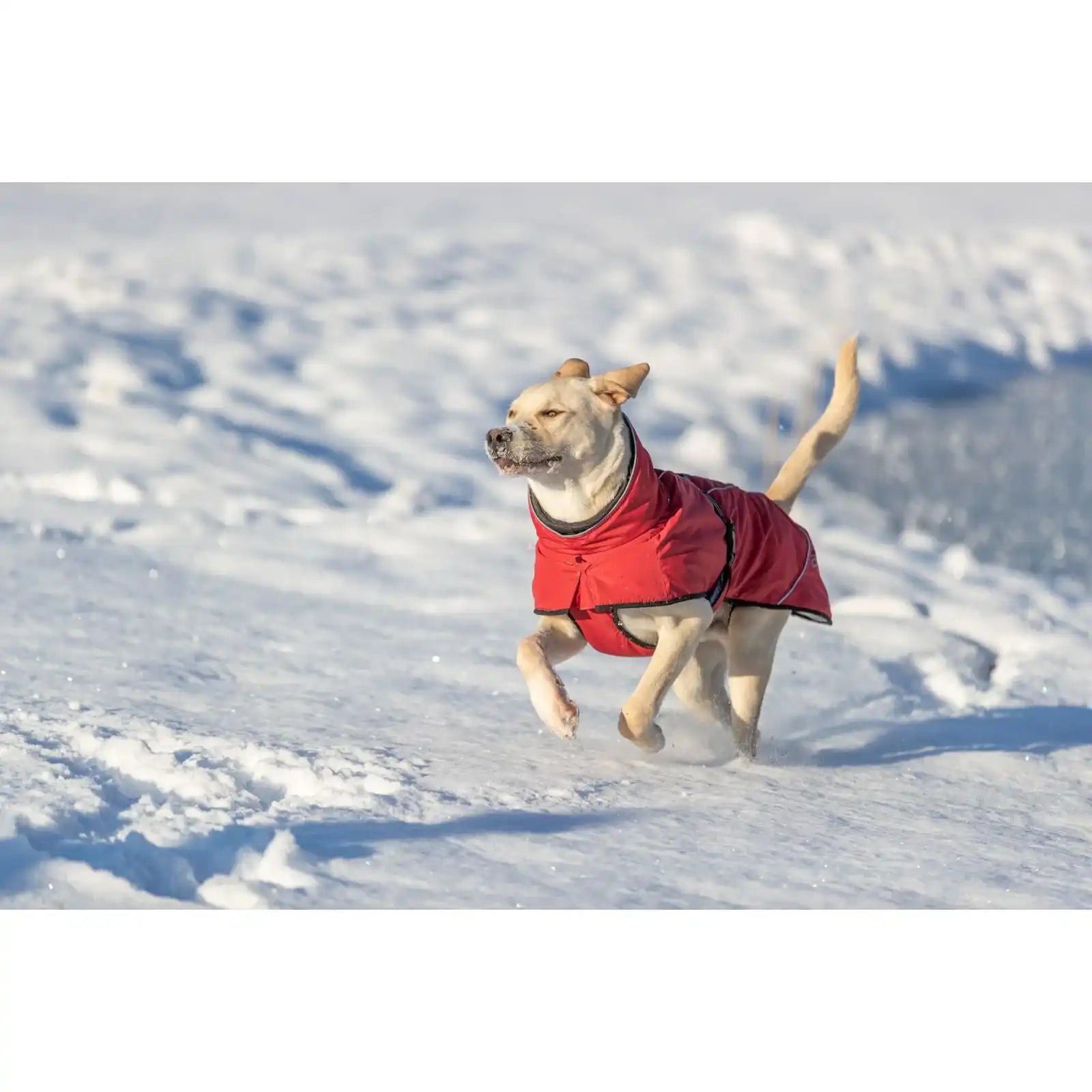 Wintermantel Explore Thermo