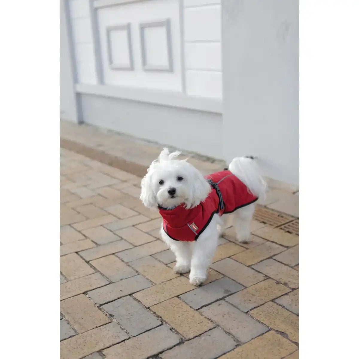 Hundemantel Minot