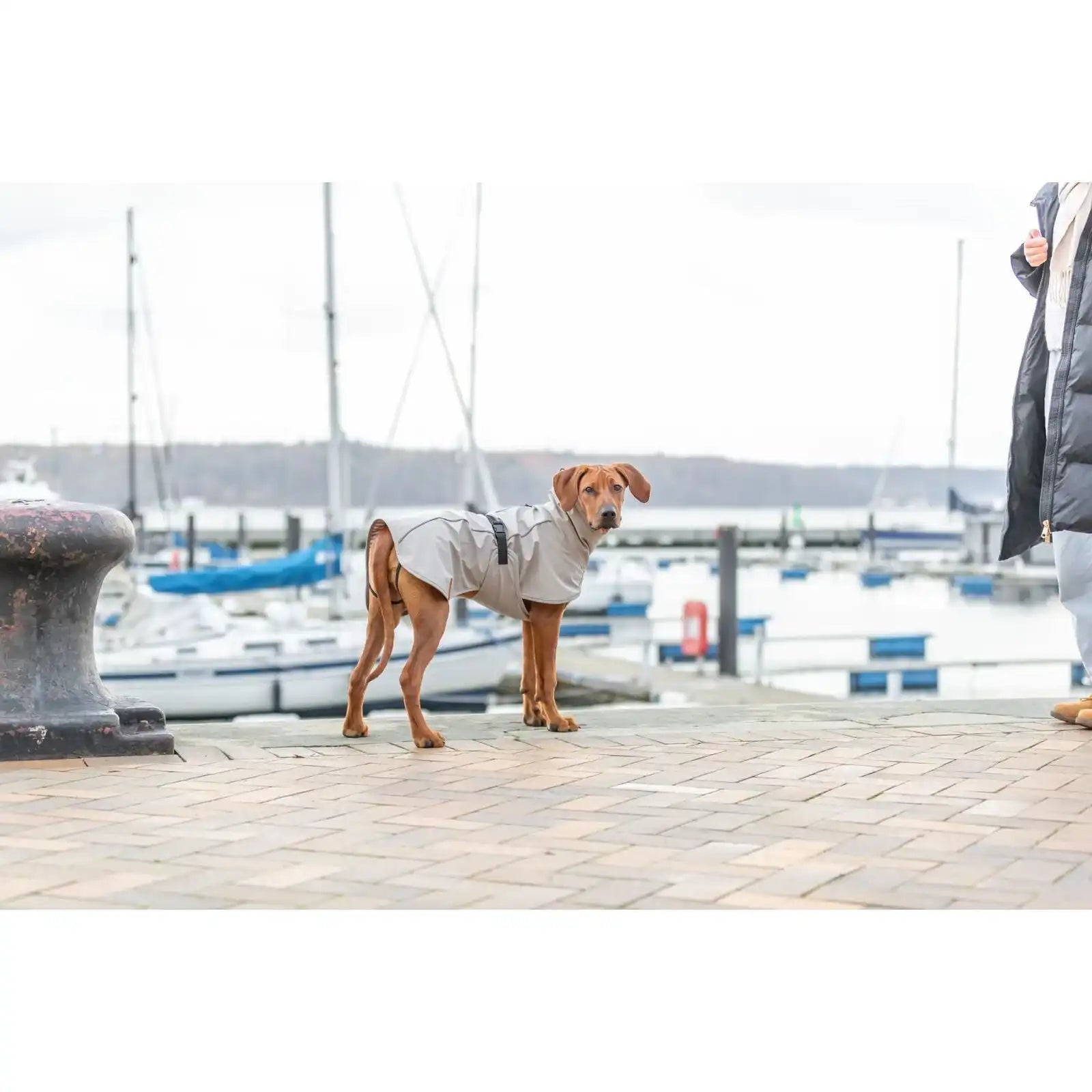 BE NORDIC Regenmantel Husum