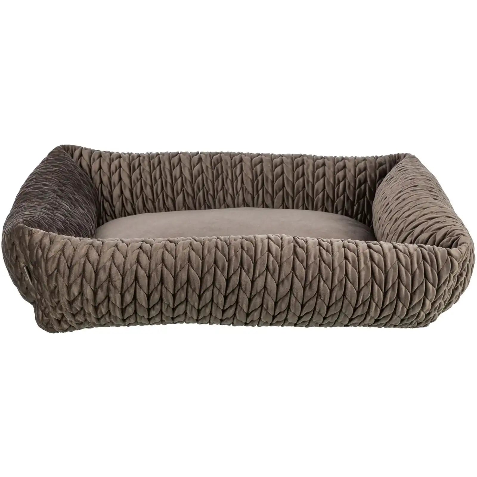 Bett Livia