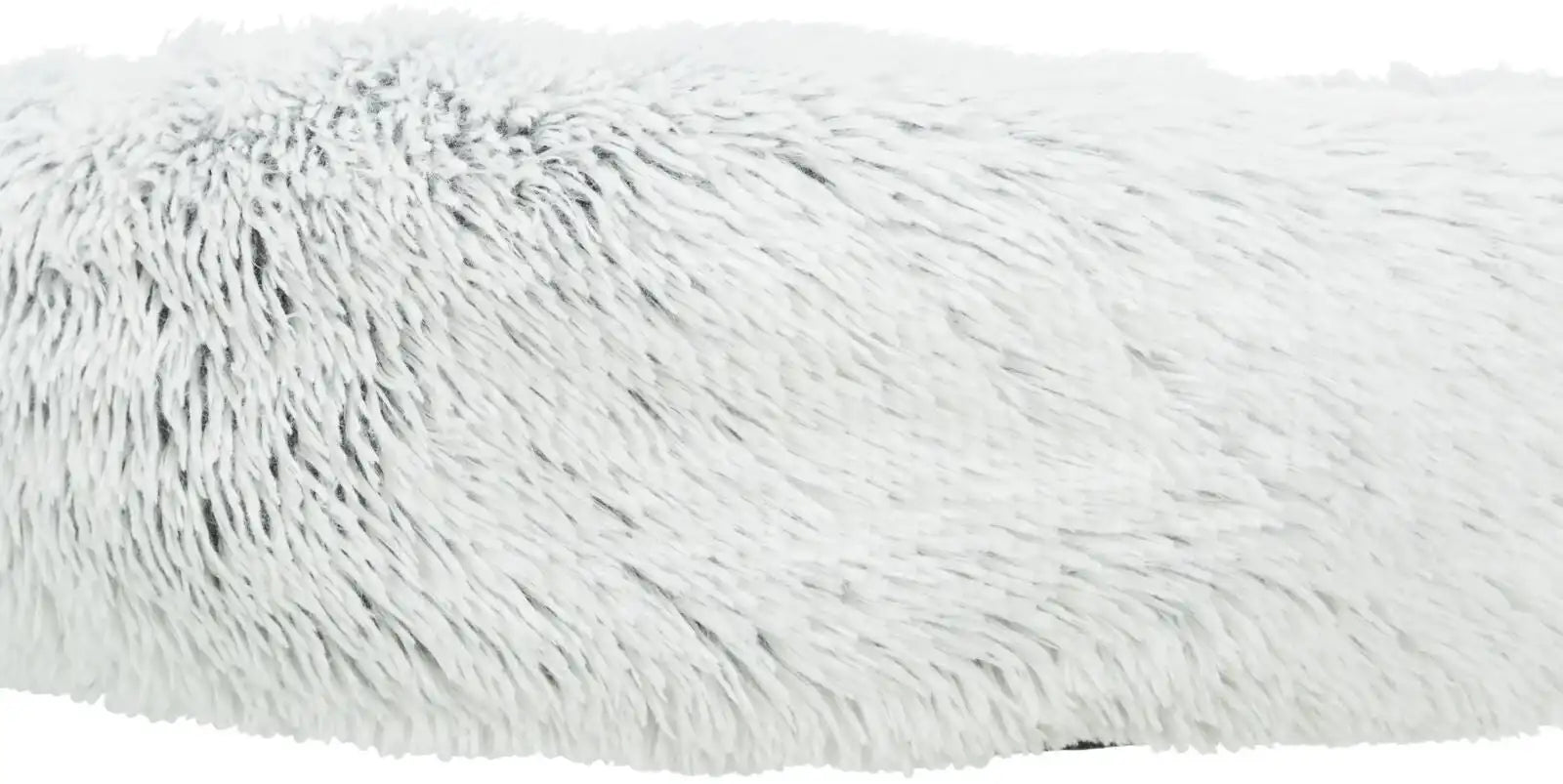Bett Harvey